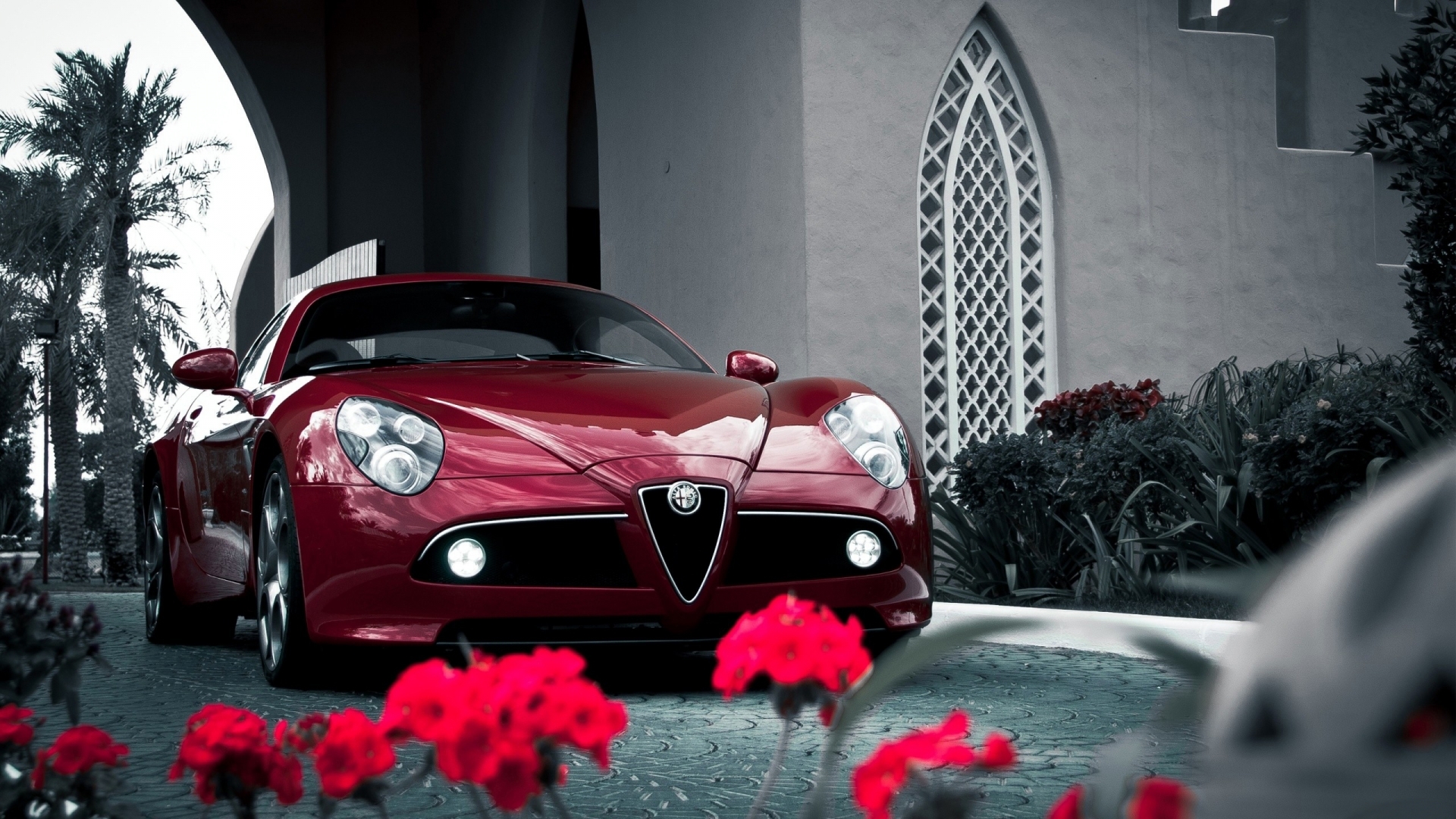 31449 Bildschirmschoner und Hintergrundbilder Alfa Romeo auf Ihrem Telefon. Laden Sie auto, transport Bilder kostenlos herunter