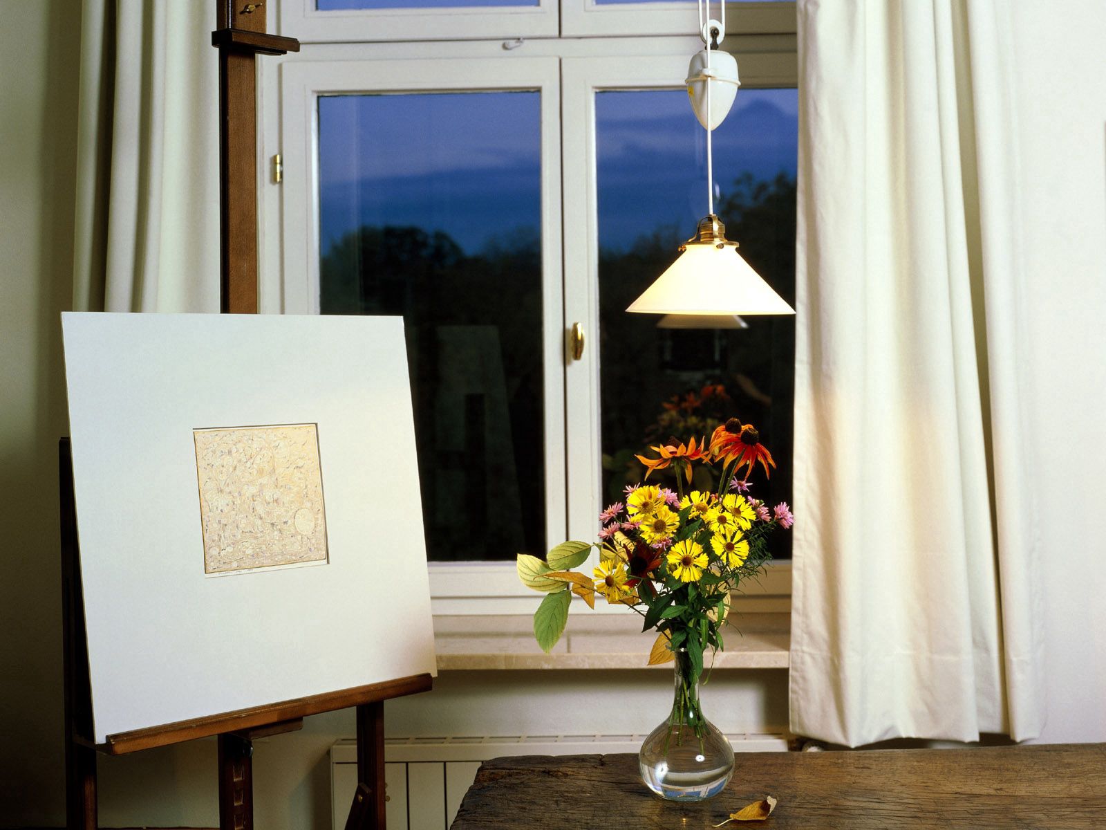 Images & Pictures picture, window, miscellaneous, miscellanea Vase
