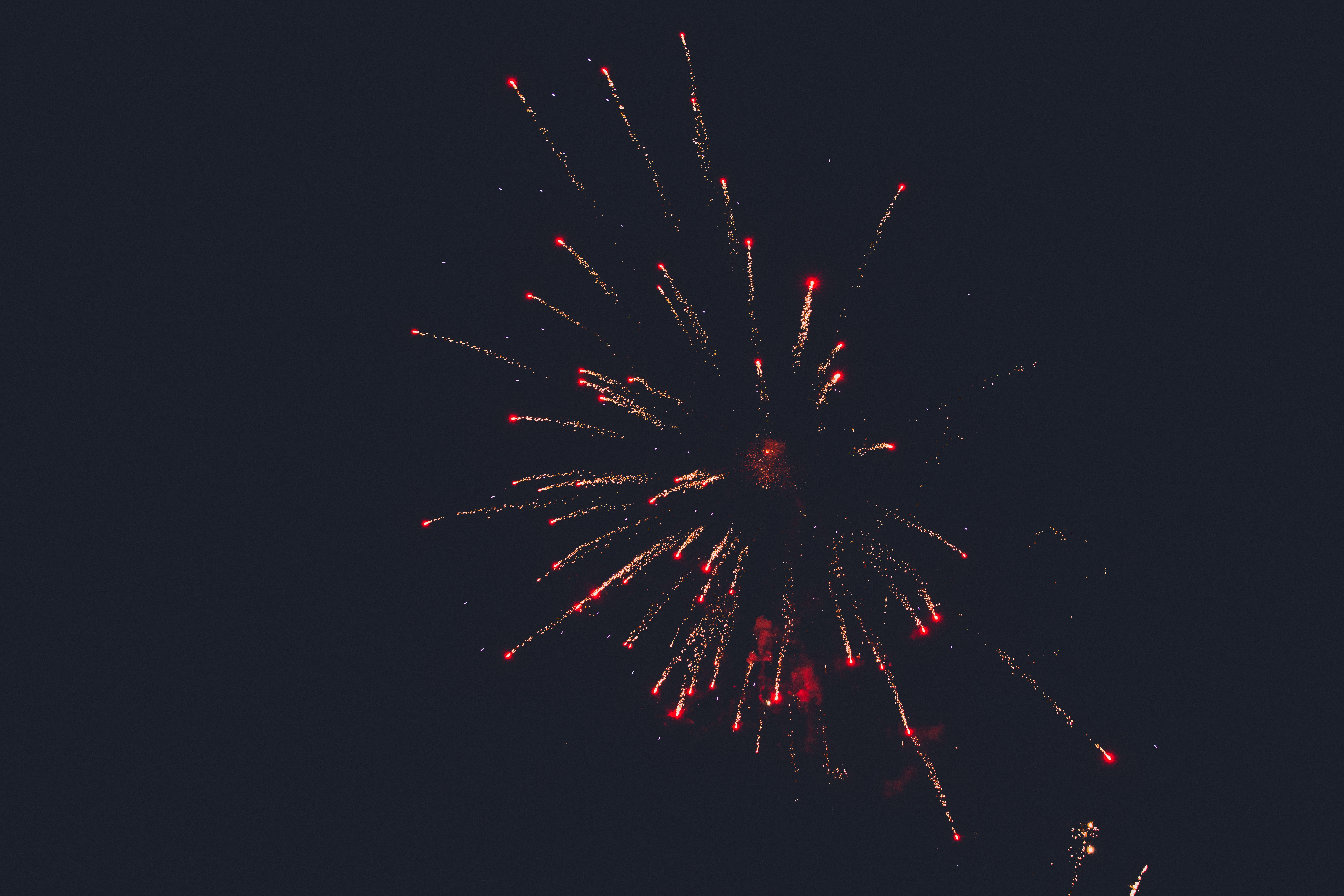 firework, fireworks, dark, sky Windows Mobile Wallpaper
