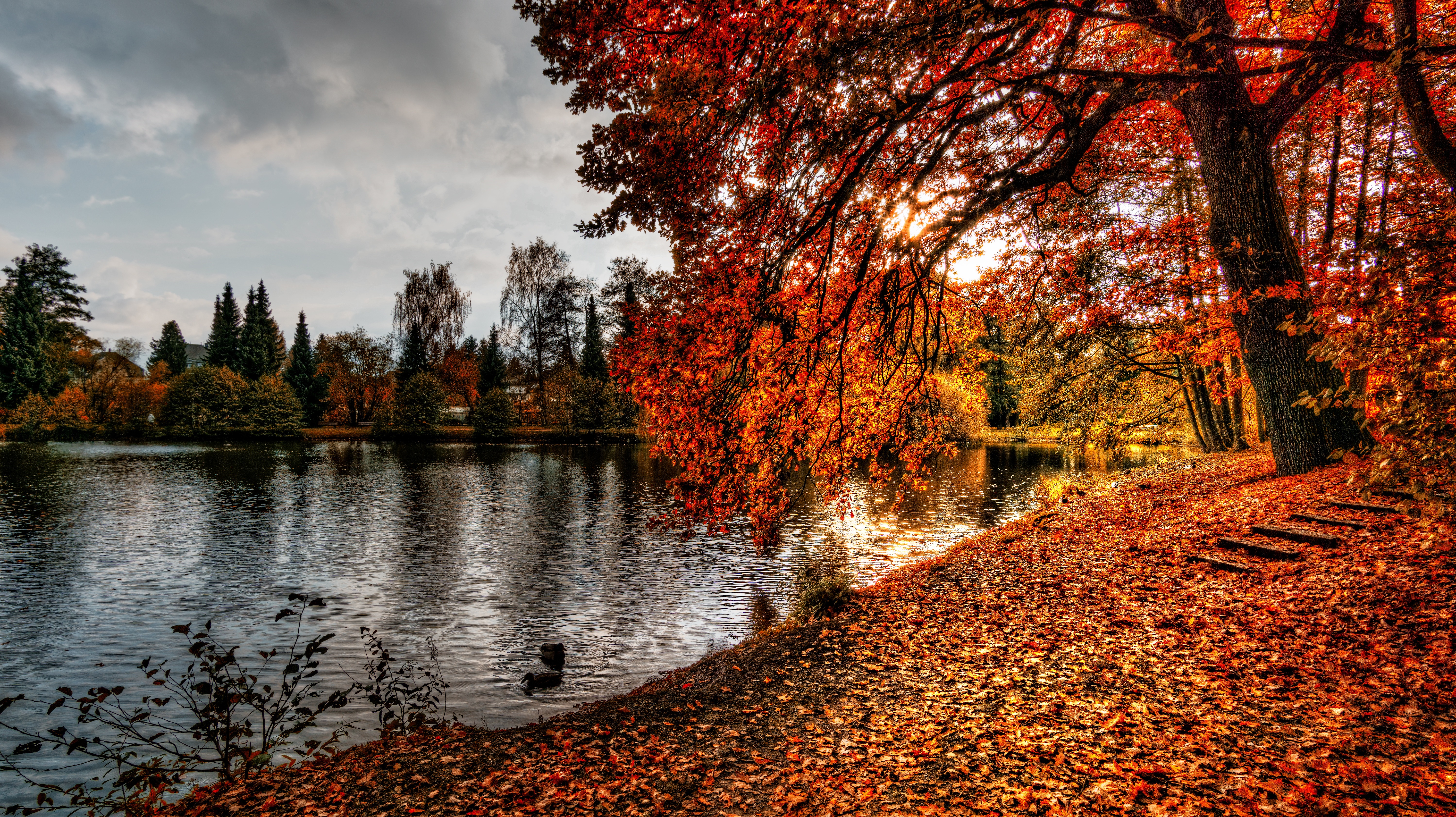95257 Заставки и Обои Осень на телефон. Скачать листва, парк, озеро, природа картинки бесплатно