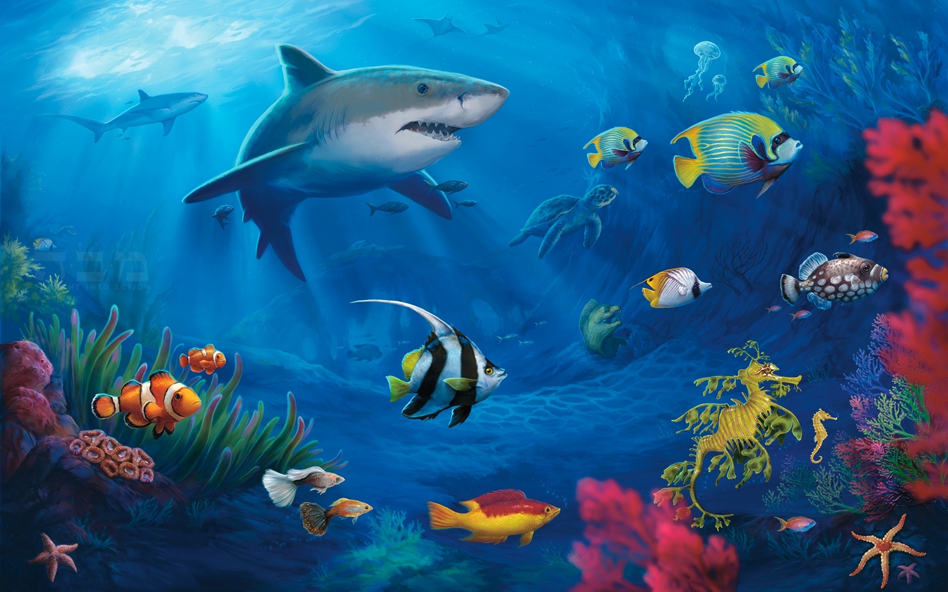 Ultra HD 4K colors, shark, underwater, animal