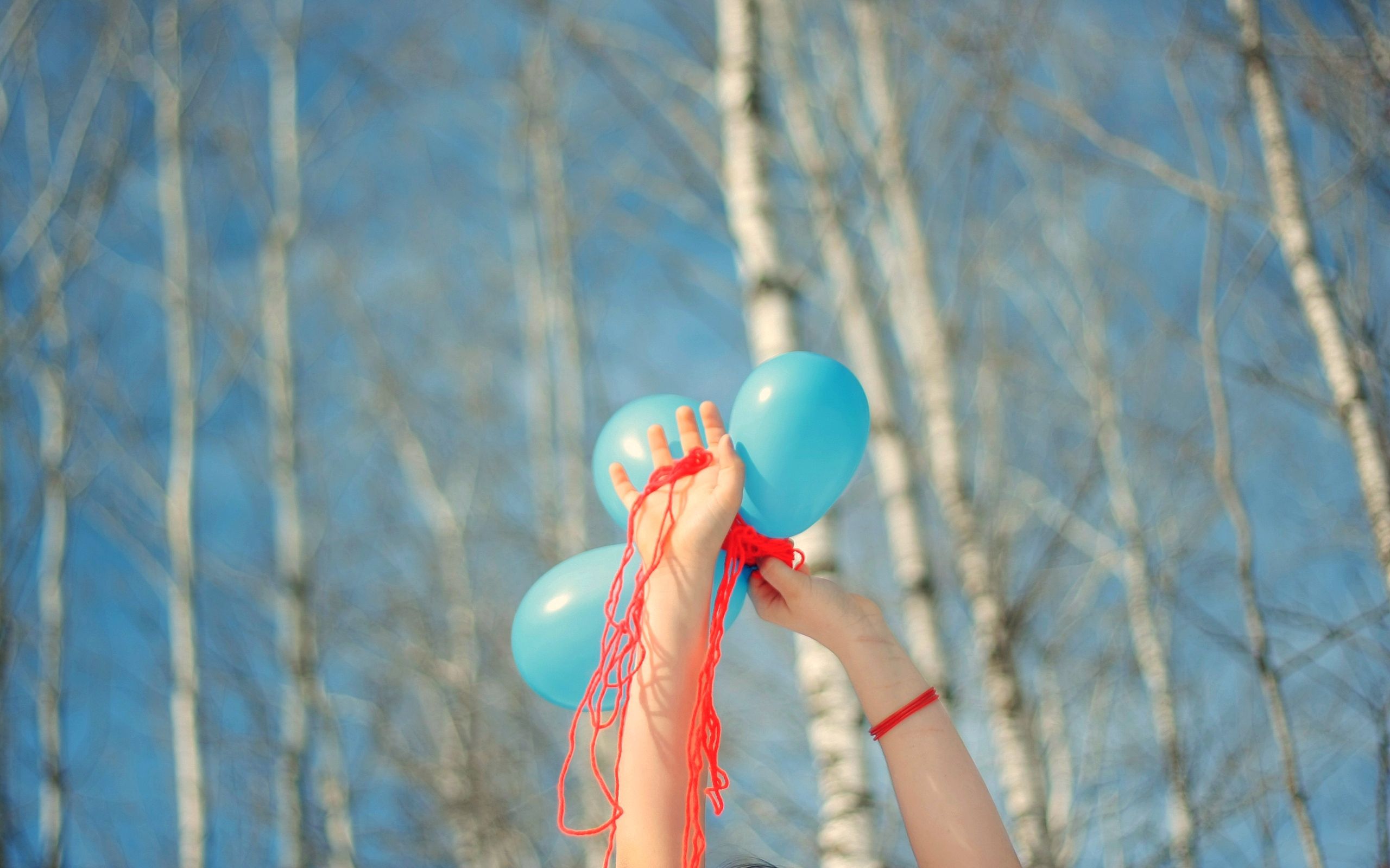 nature, trees, balloons, hands, air balloons