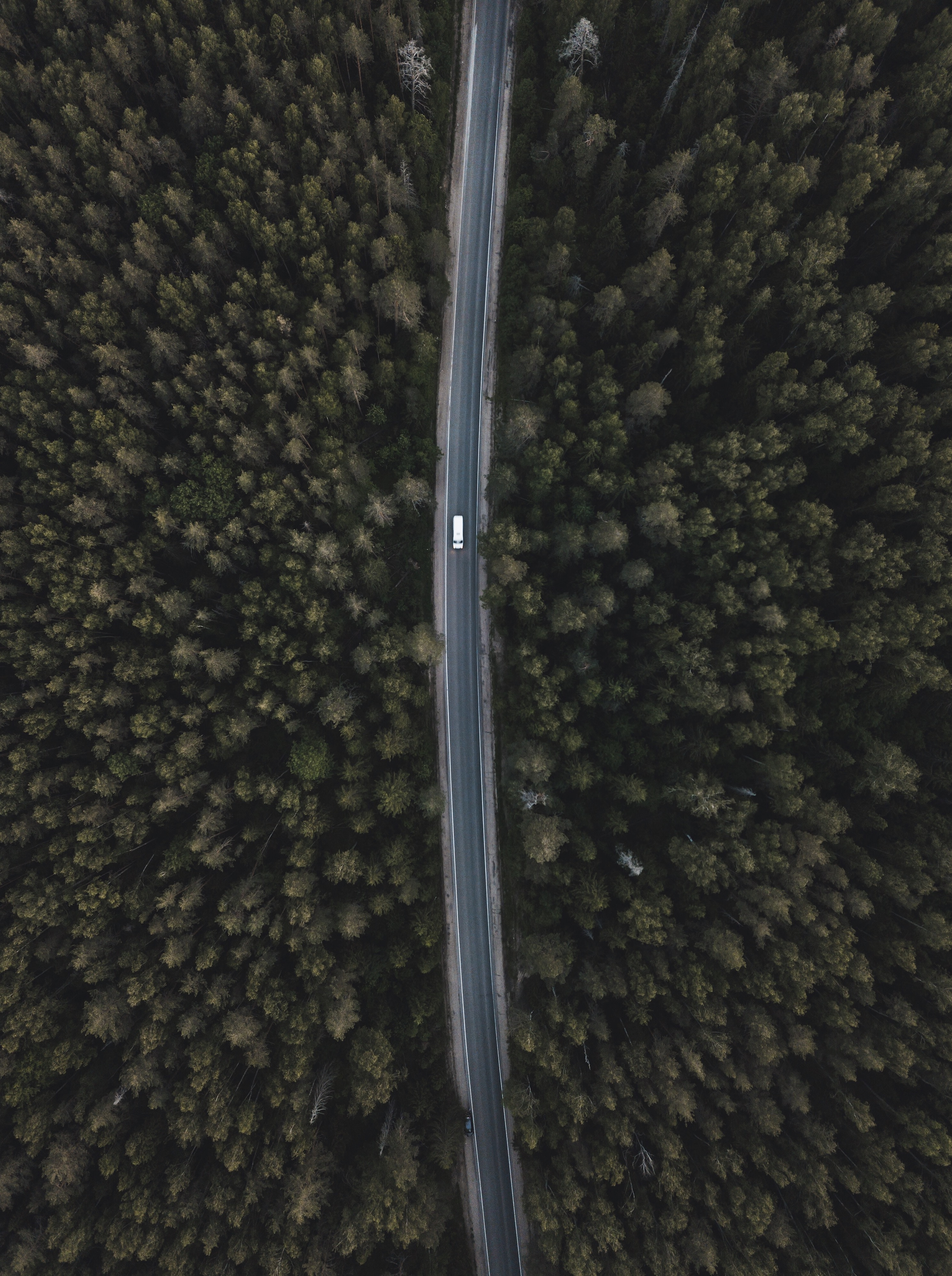 nature, trees, view from above, top, road, forest, tops Full HD