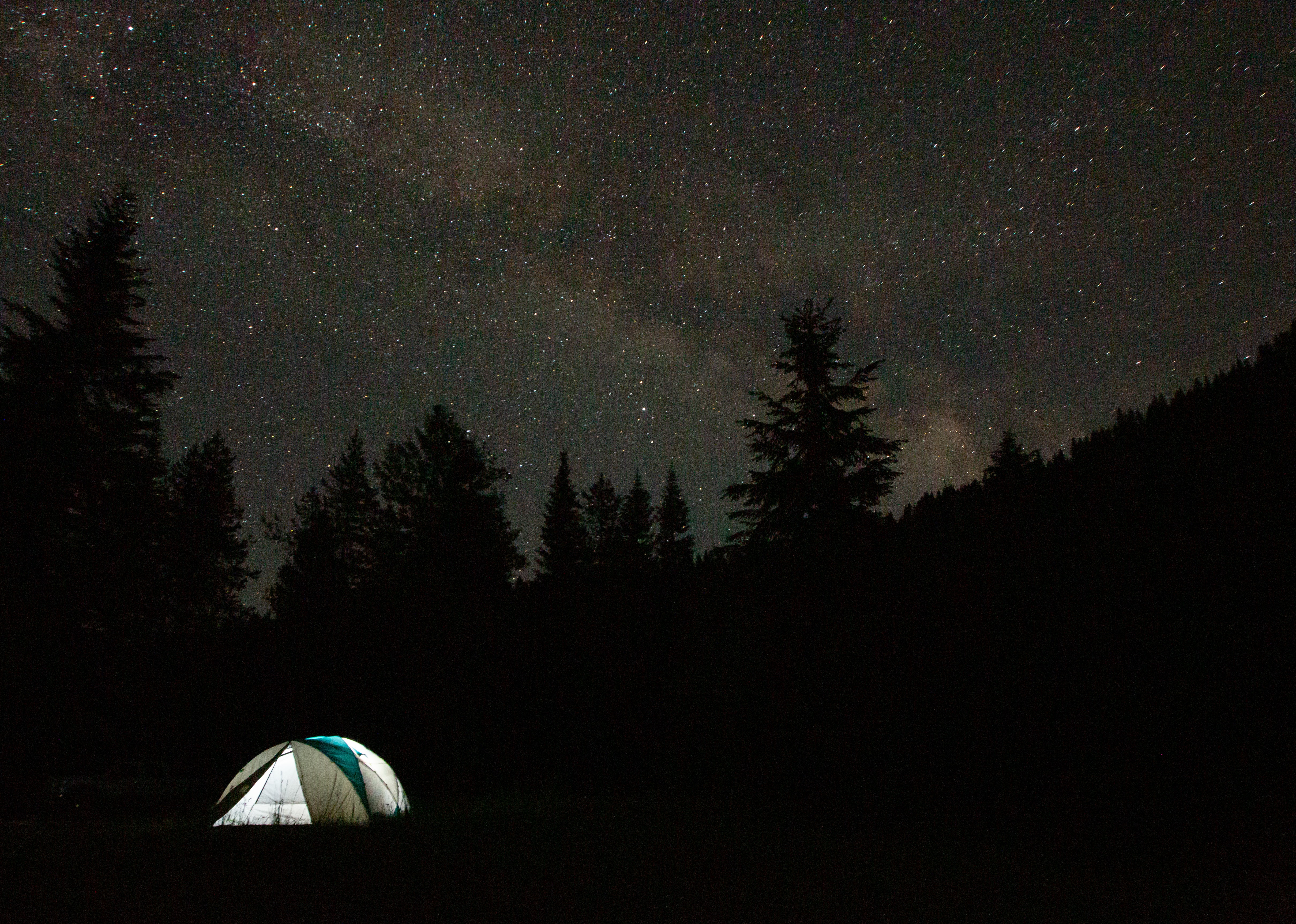 trees, stars, dark, starry sky, spruce, fir, tent, camping, campsite