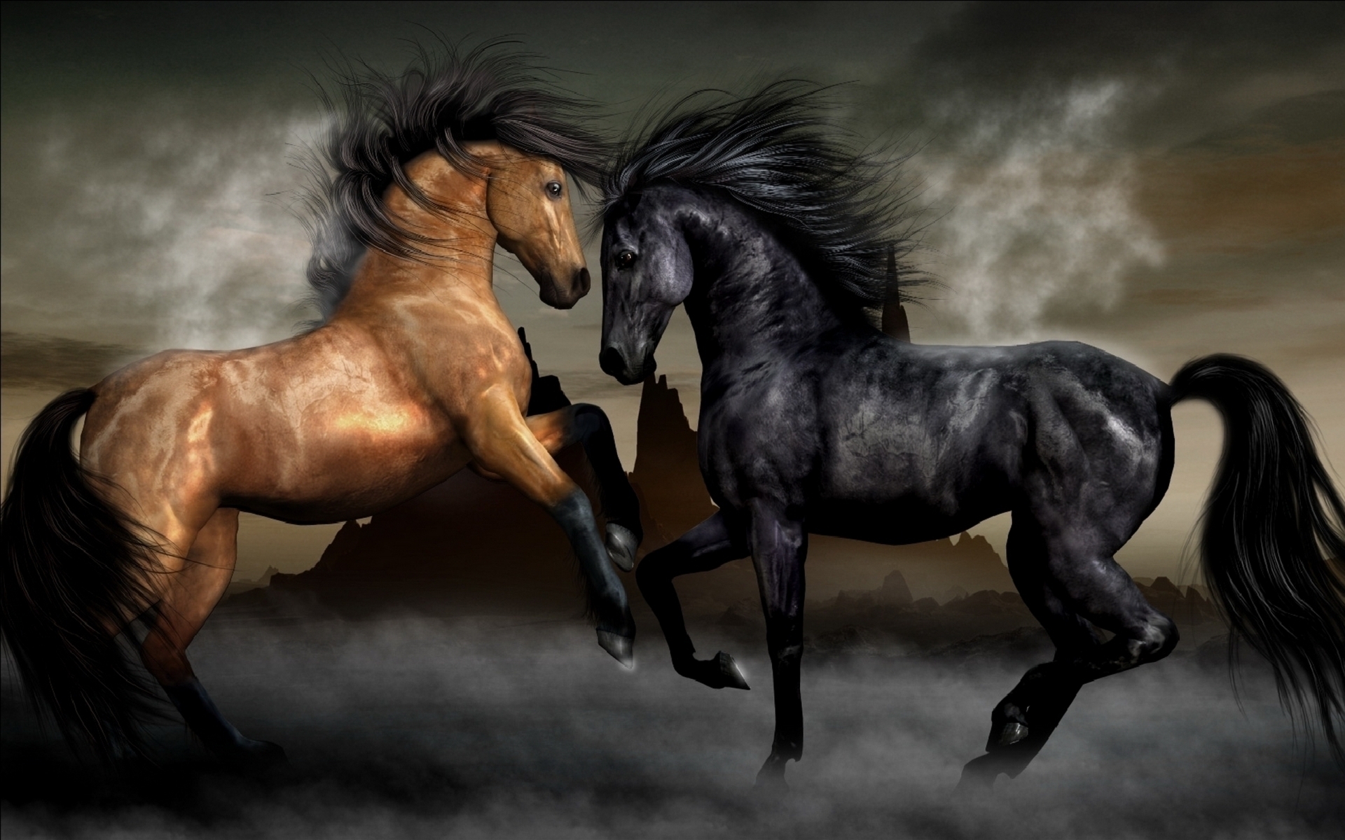 48355 descargar fondo de pantalla caballos, animales, negro: protectores de pantalla e imágenes gratis