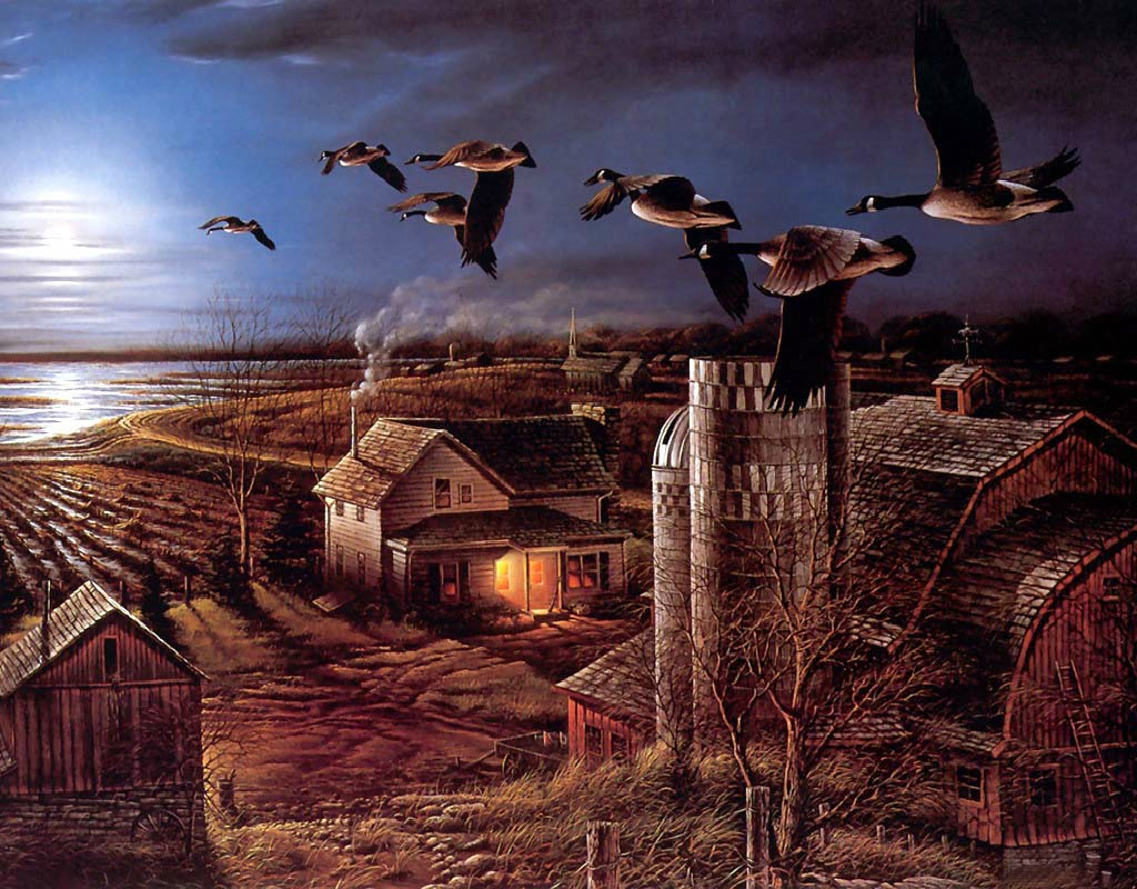 Ducks landscape, birds, fields, houses Lock Screen