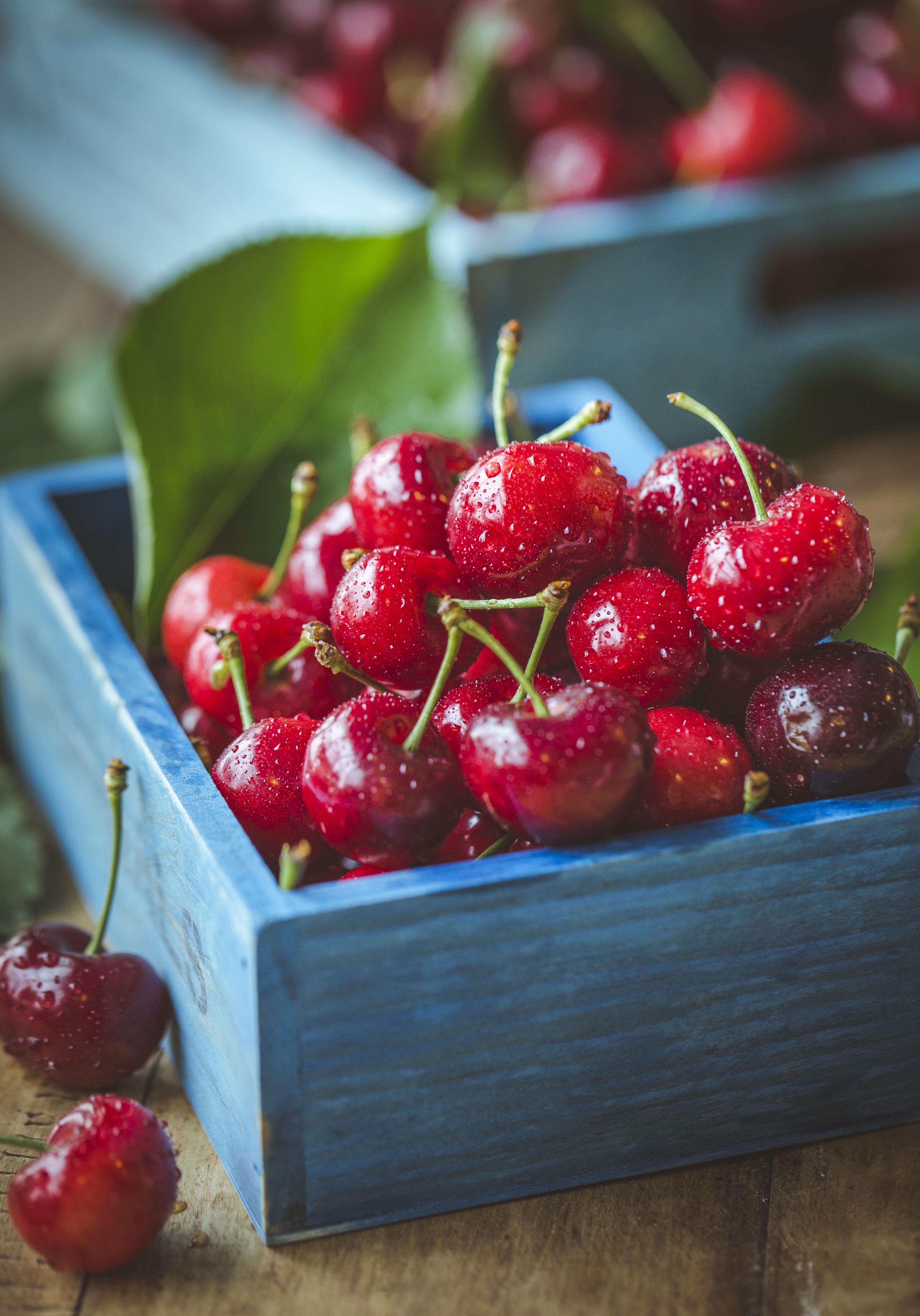 Sweet Cherry drops, cherry, berries, food 8k Backgrounds