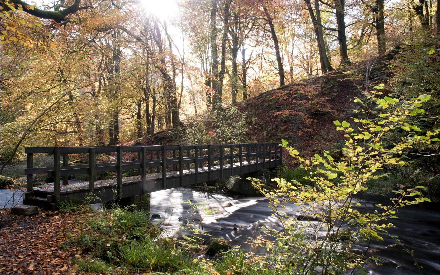 Laden Sie das Natur, Flüsse, Herbst, Sun, Lumen, Wald, Brücke, Öffnen-Bild kostenlos auf Ihren PC-Desktop herunter