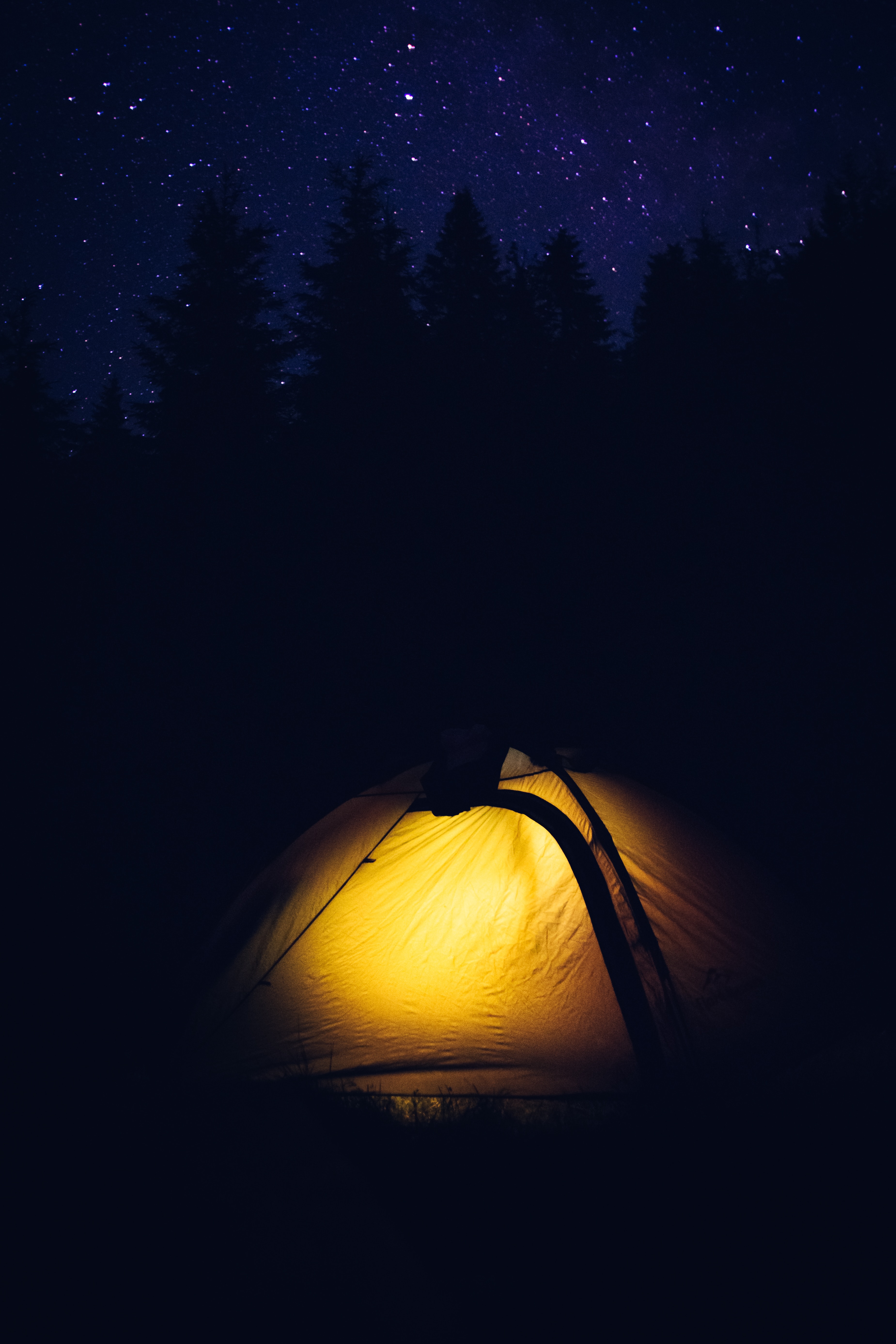 dark, forest, tent, campsite 3d Wallpaper