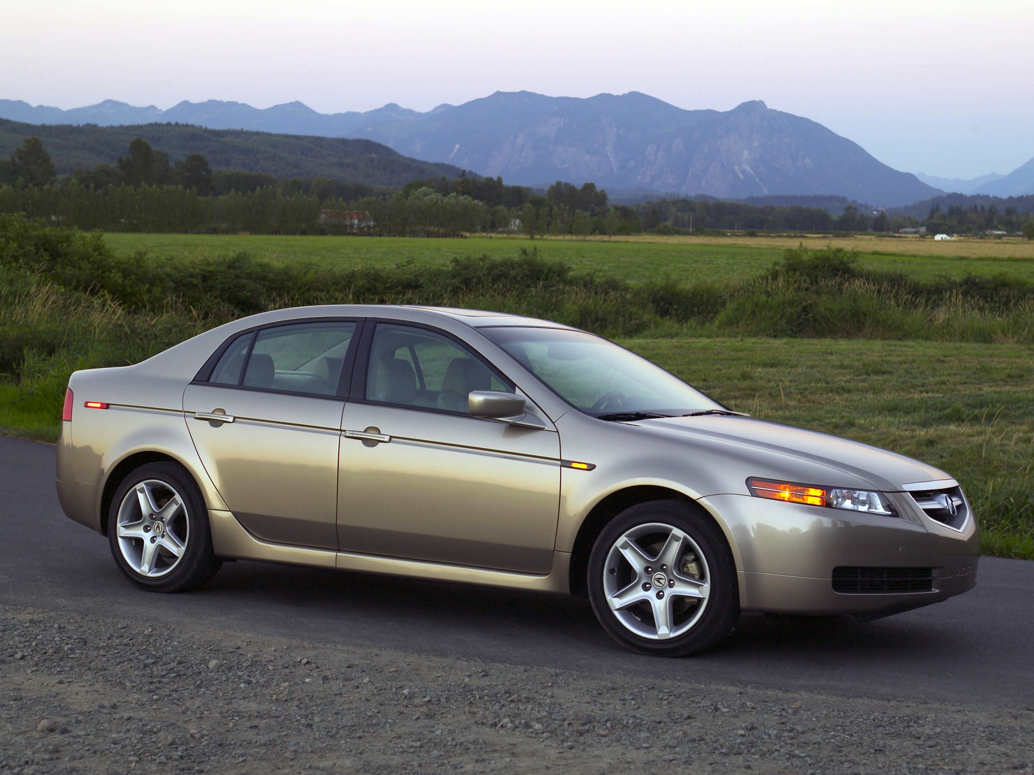 auto, nature, trees, grass, mountains, acura, cars, asphalt, side view, style, tl, 2004, beige metallic