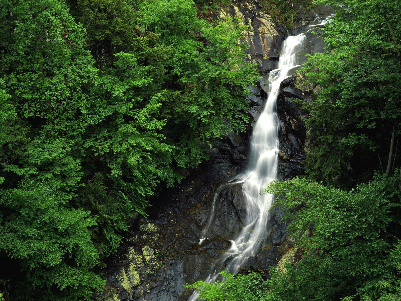 お使いの携帯電話の157423スクリーンセーバーと壁紙森林。 岩, 高さ, ストーンズ, 滝の写真を無料でダウンロード