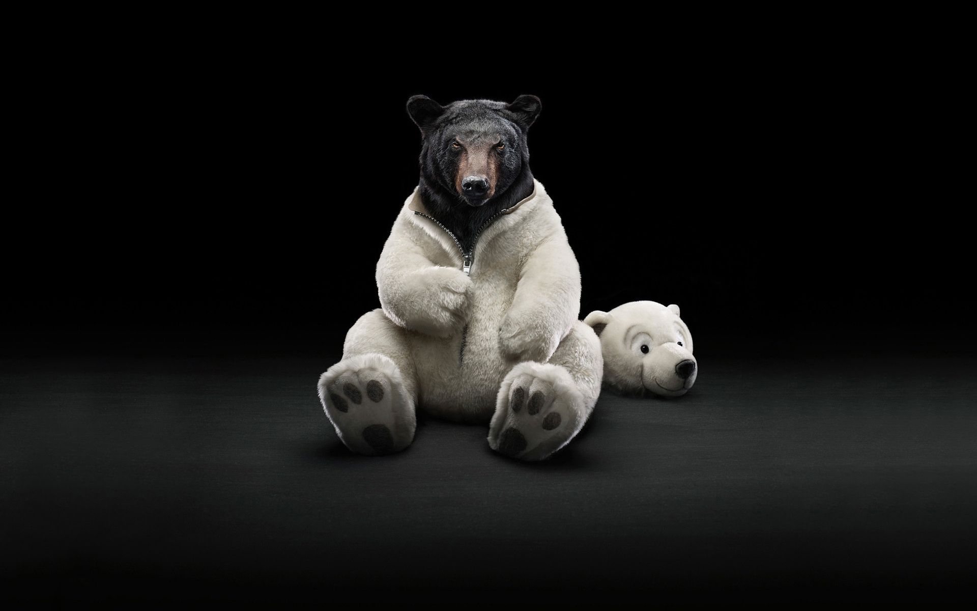 animals, bears, black Phone Background