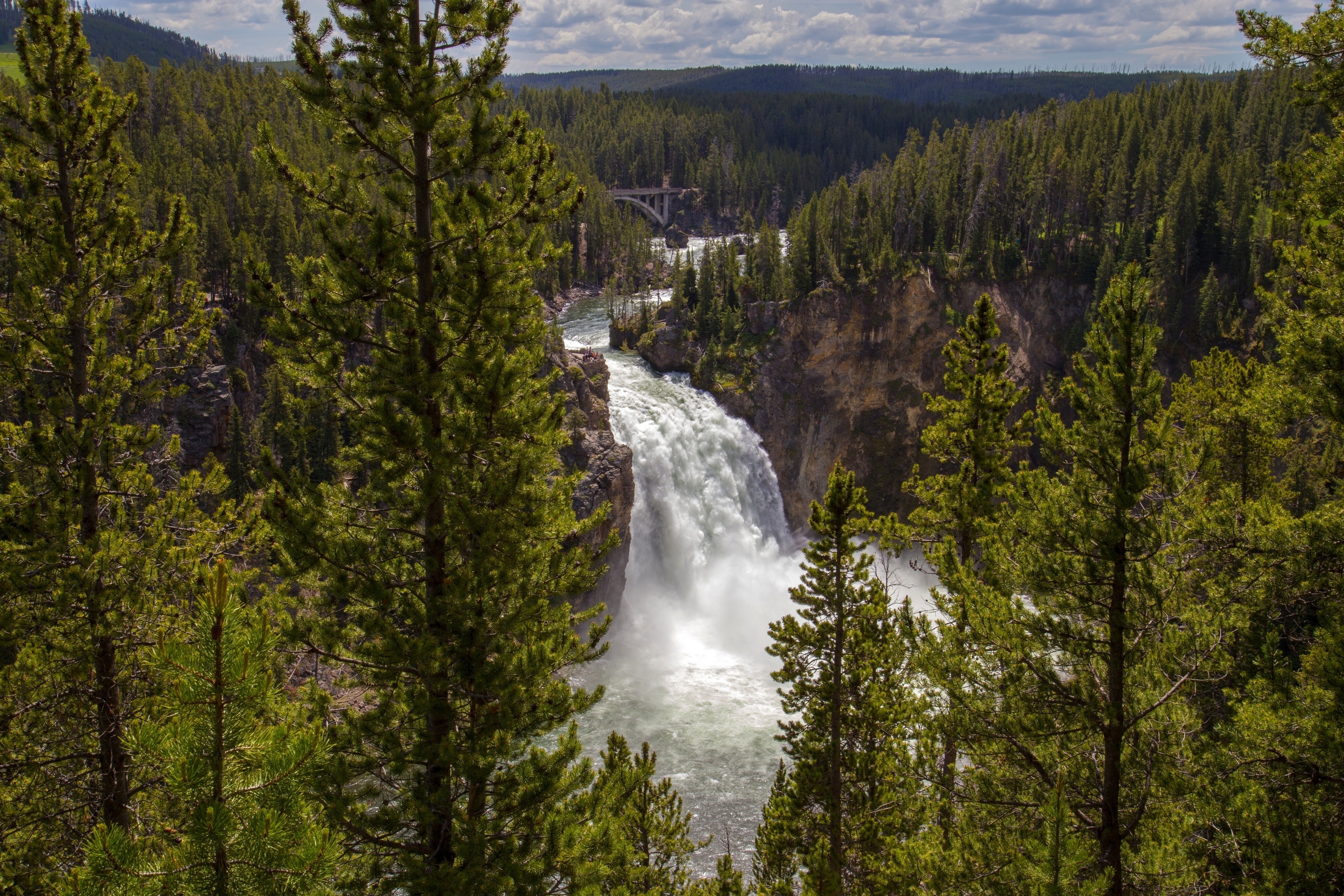 earth, waterfall, fir, forest, green, landscape, nature, tree, waterfalls cellphone