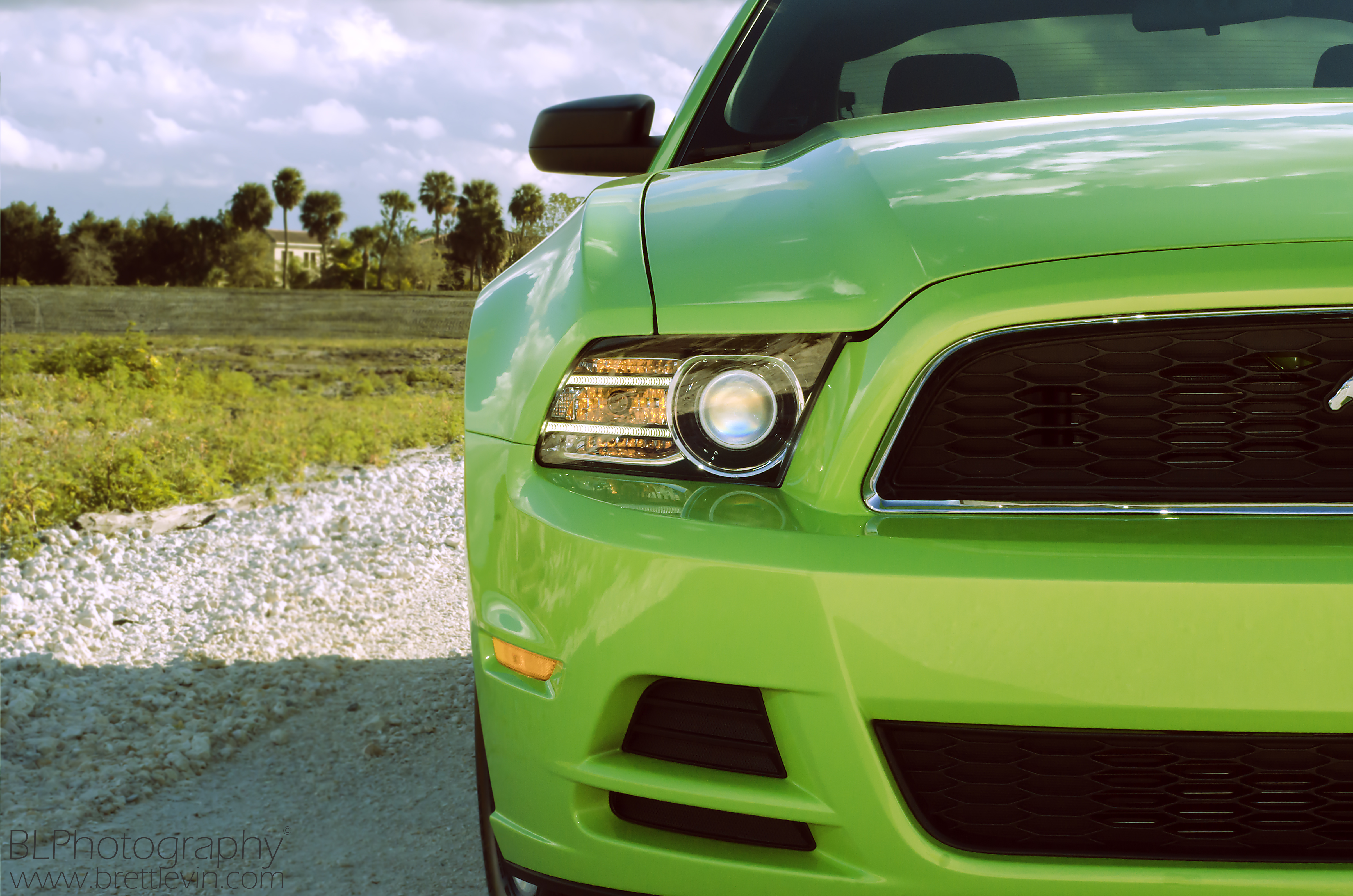 ford mustang, sports, cars, green, front view, sports car, headlight HD wallpaper
