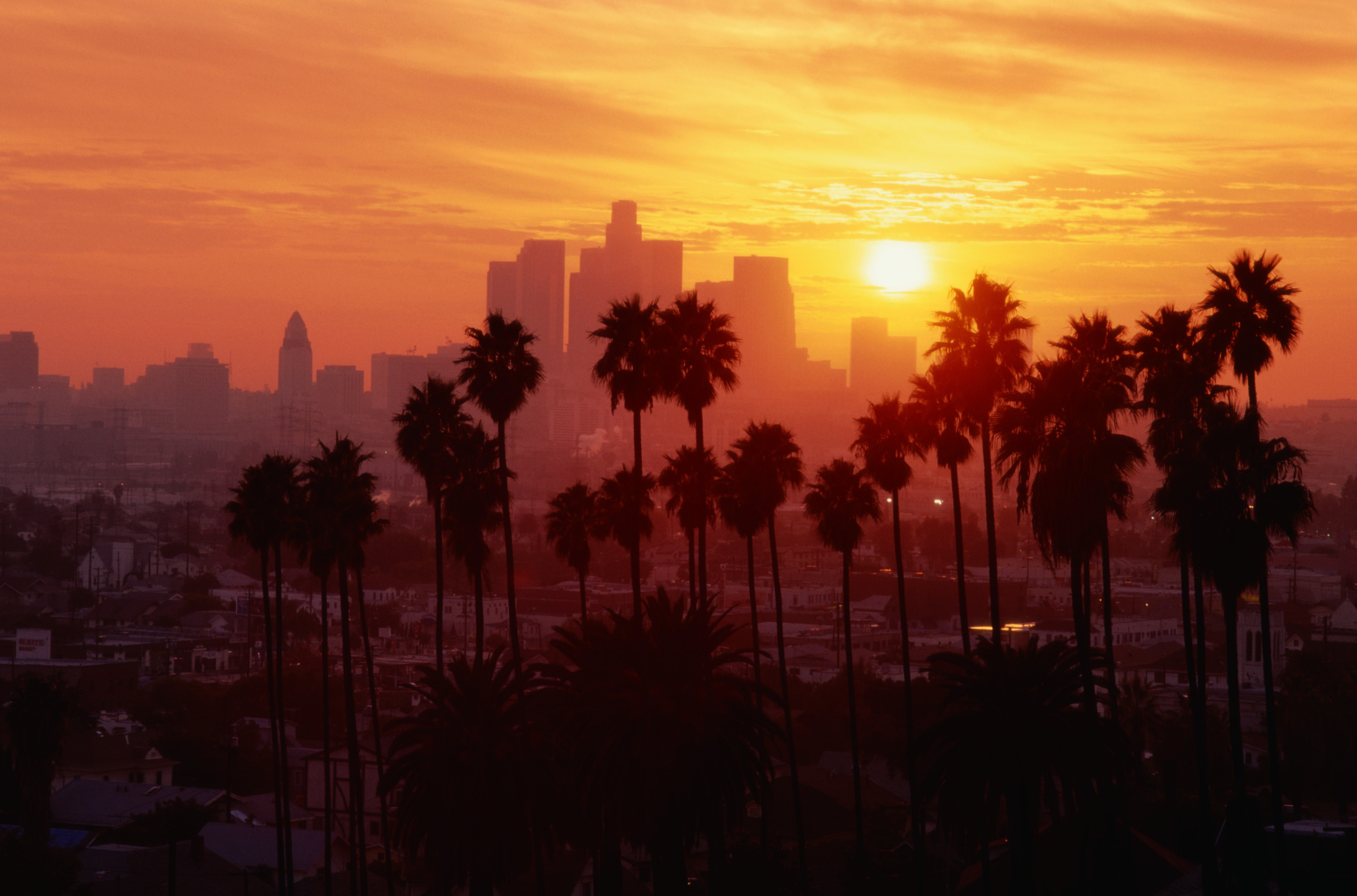 cities, landscape, sunset Palms Full HD Wallpaper