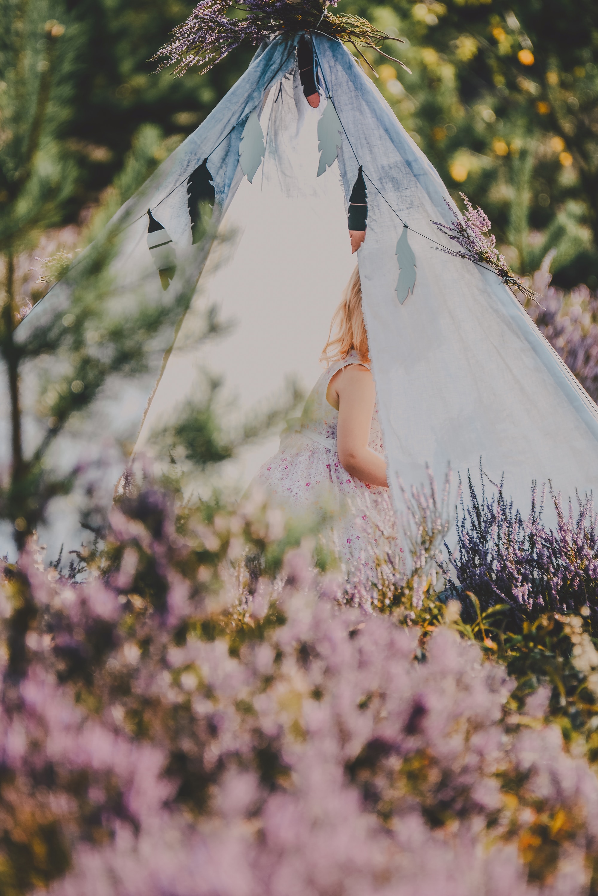 lavender, nature, flowers, miscellanea, miscellaneous, child, tent