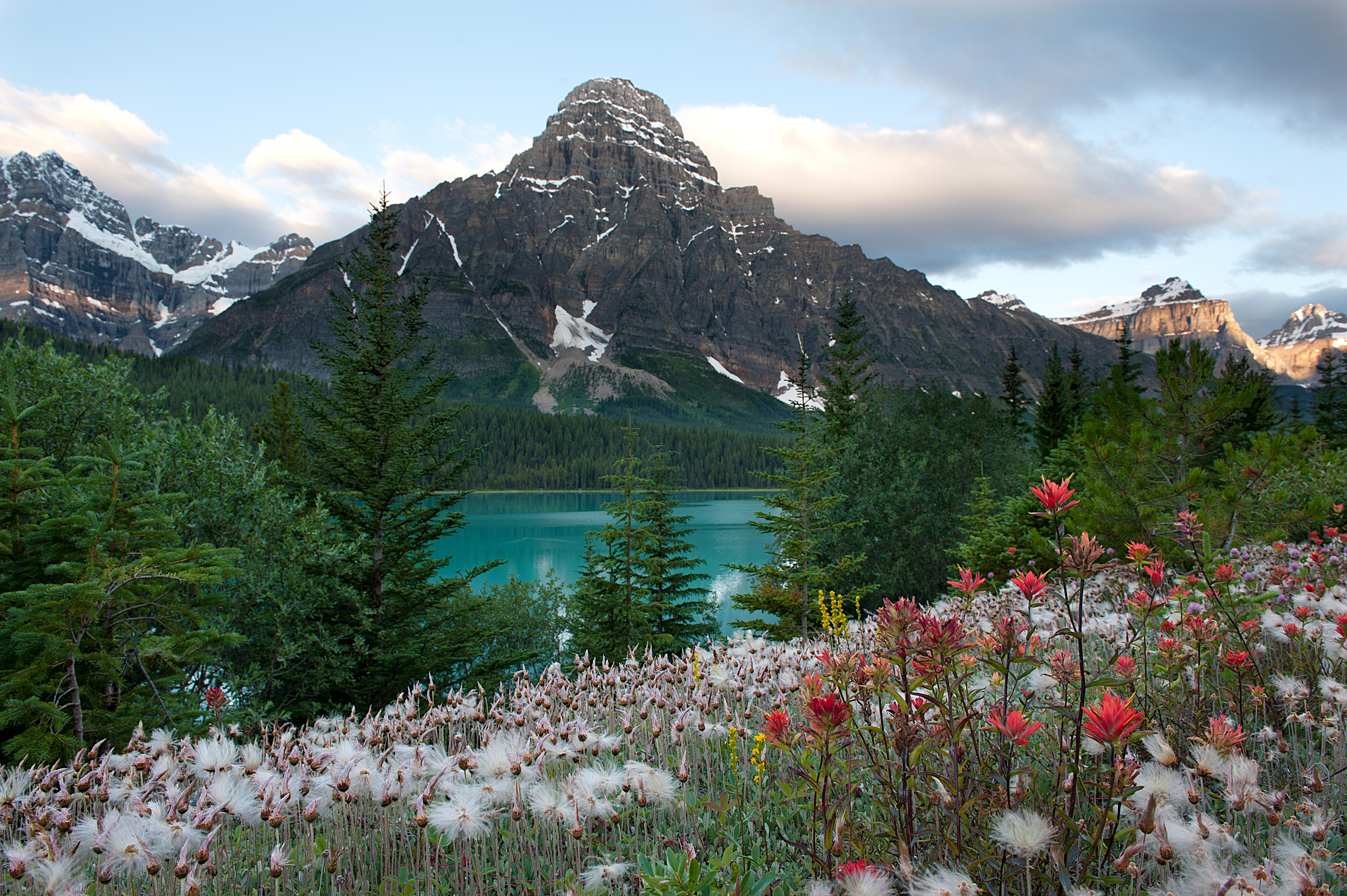earth, lake, banff national park, flower, forest, landscape, mountain, tree, lakes Aesthetic wallpaper