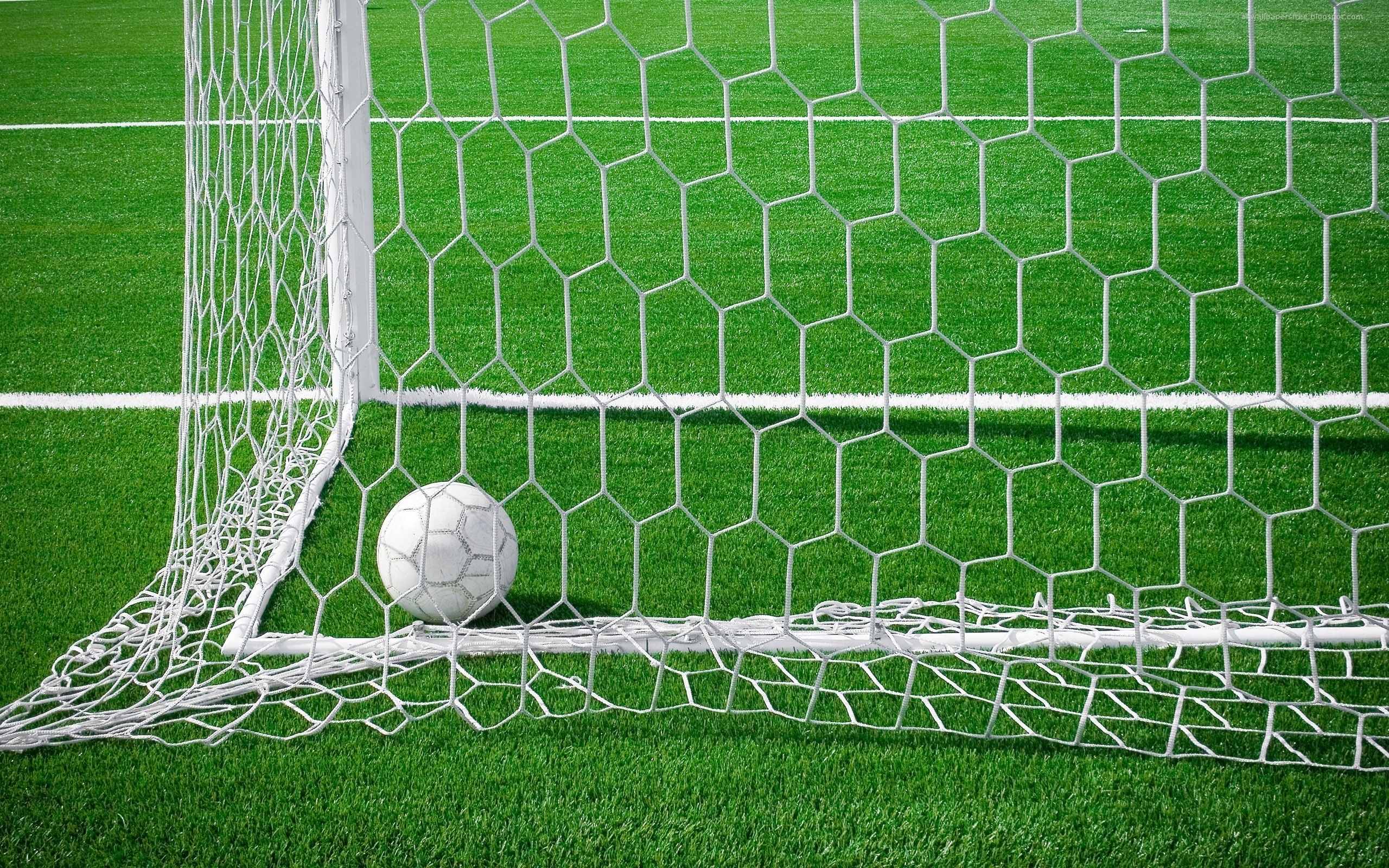 Laden Sie das Fußball, Sport-Bild kostenlos auf Ihren PC-Desktop herunter