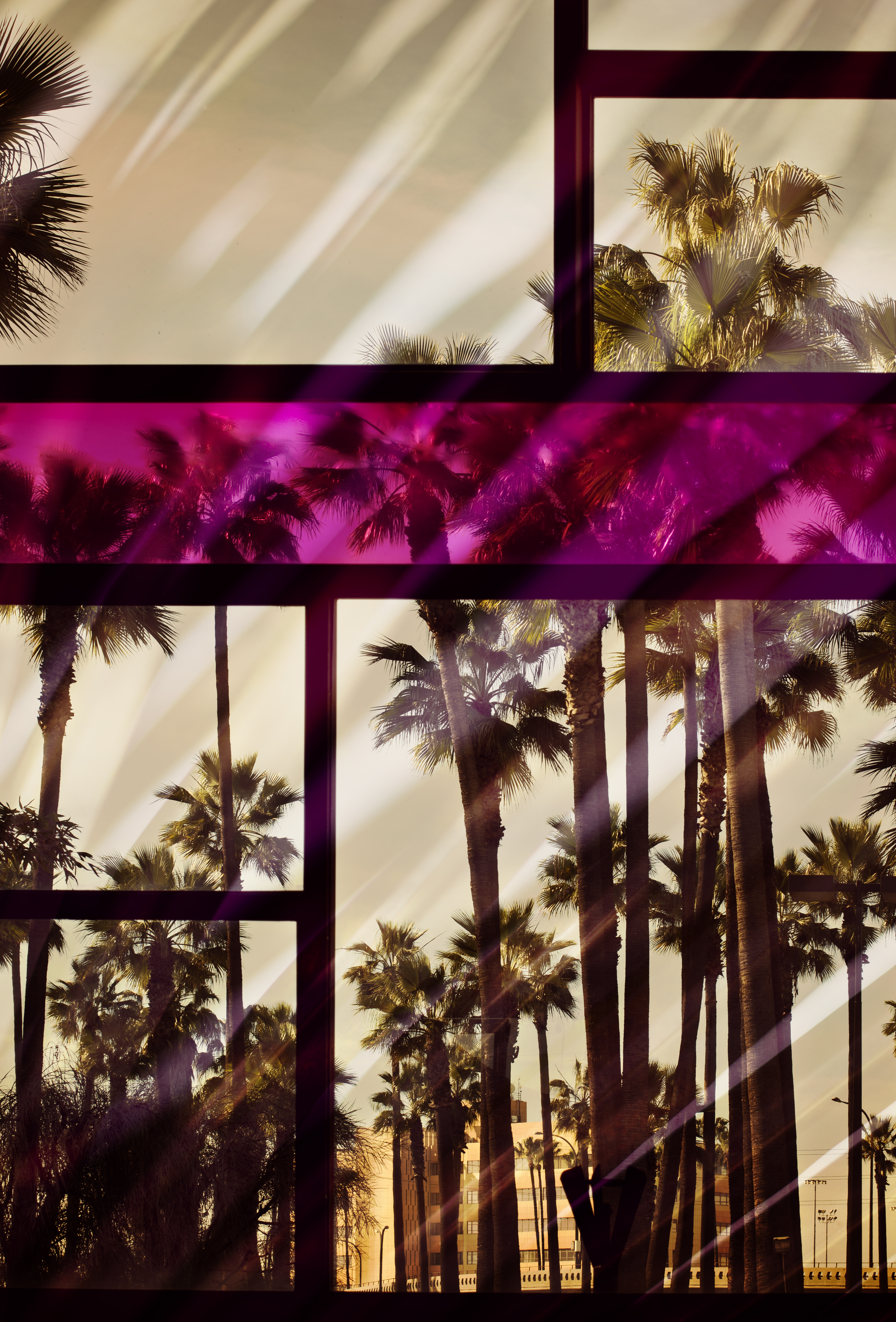 color, palms, reflection, miscellanea, miscellaneous, glass, window, coloured, frame Smartphone Background