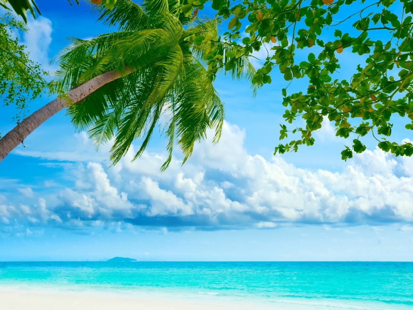 landscape, sea, palms wallpapers for tablet