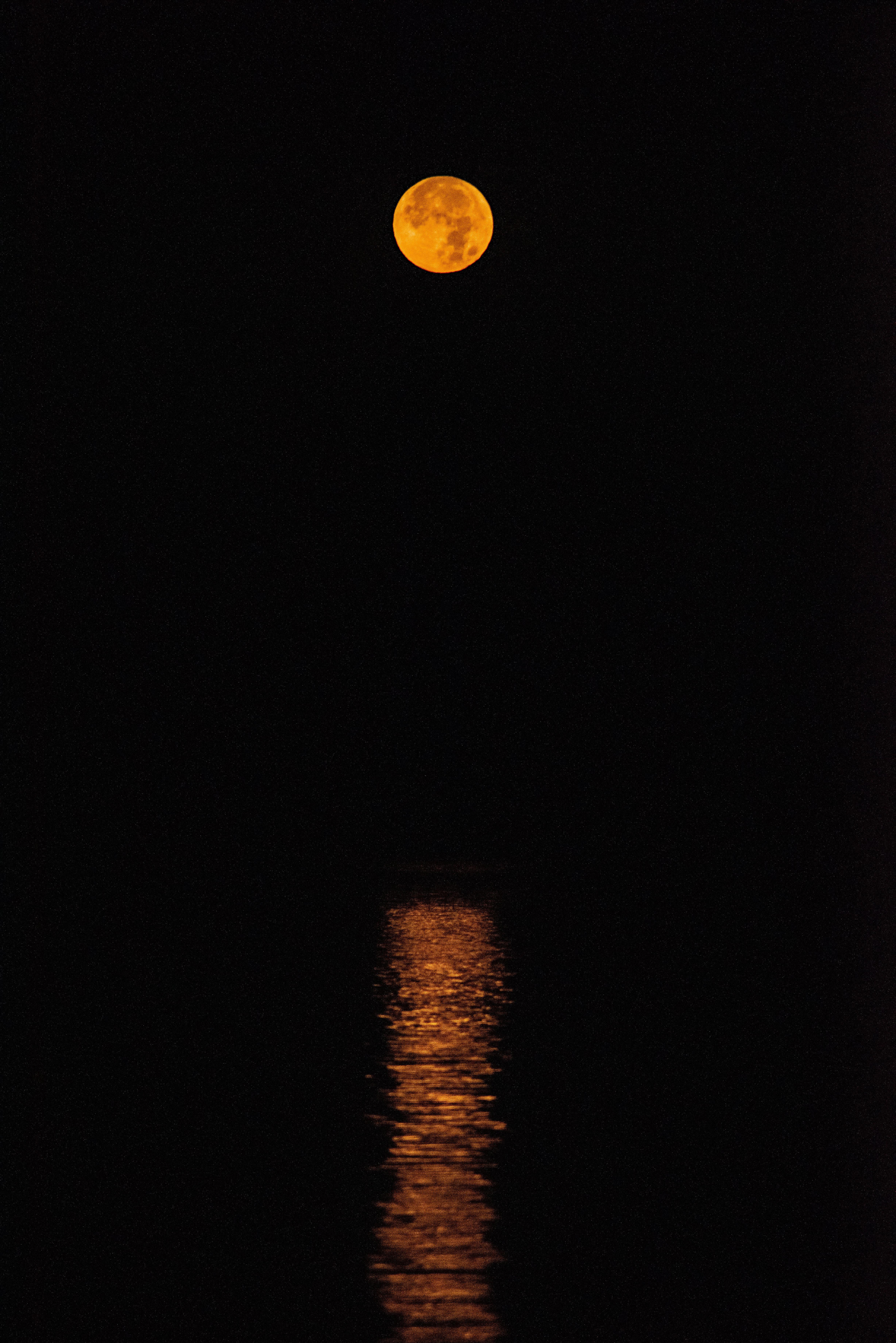 full moon, darkness, reflection, night download for free