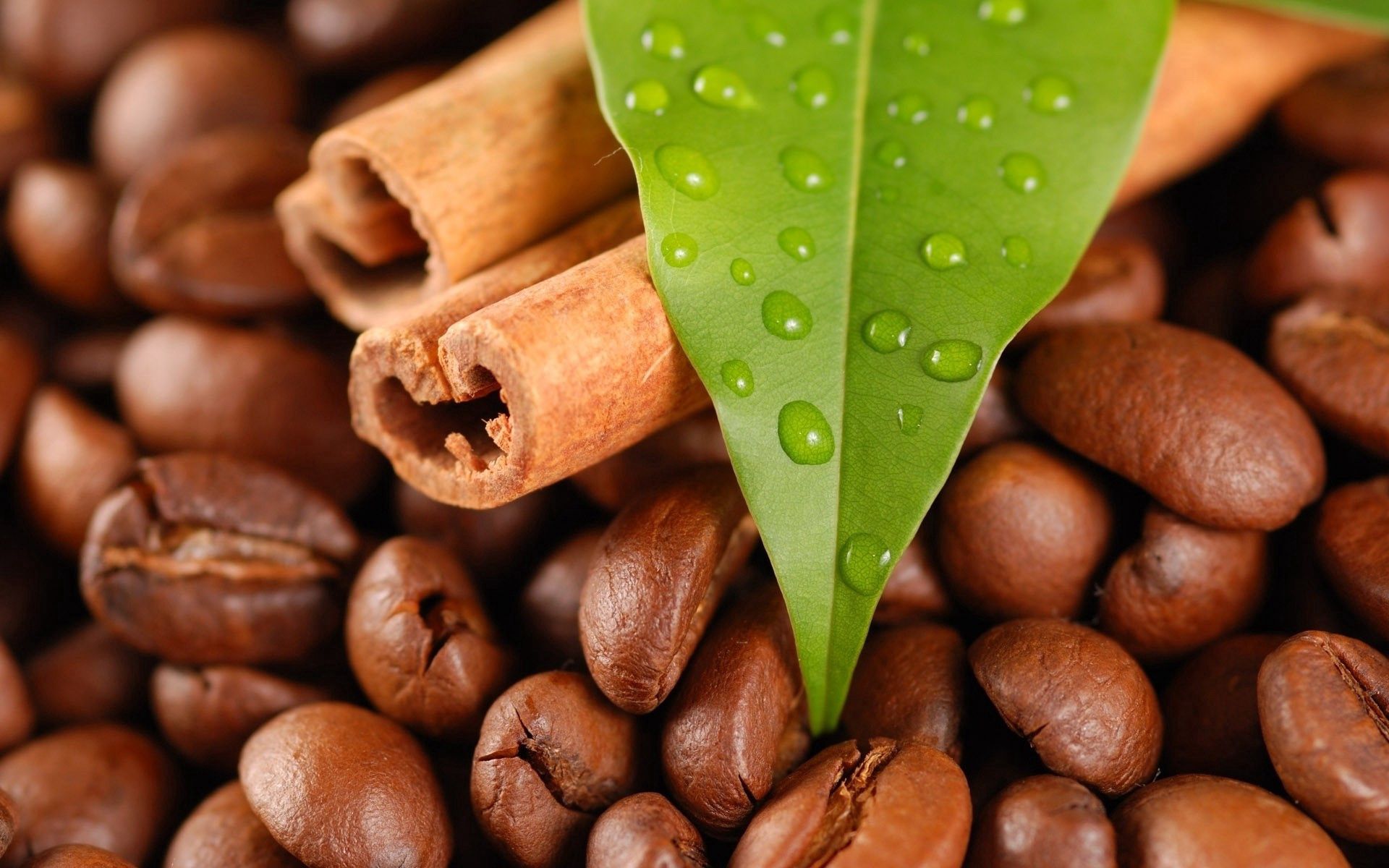 154298 download wallpaper food, leaves, cinnamon, coffee beans screensavers and pictures for free