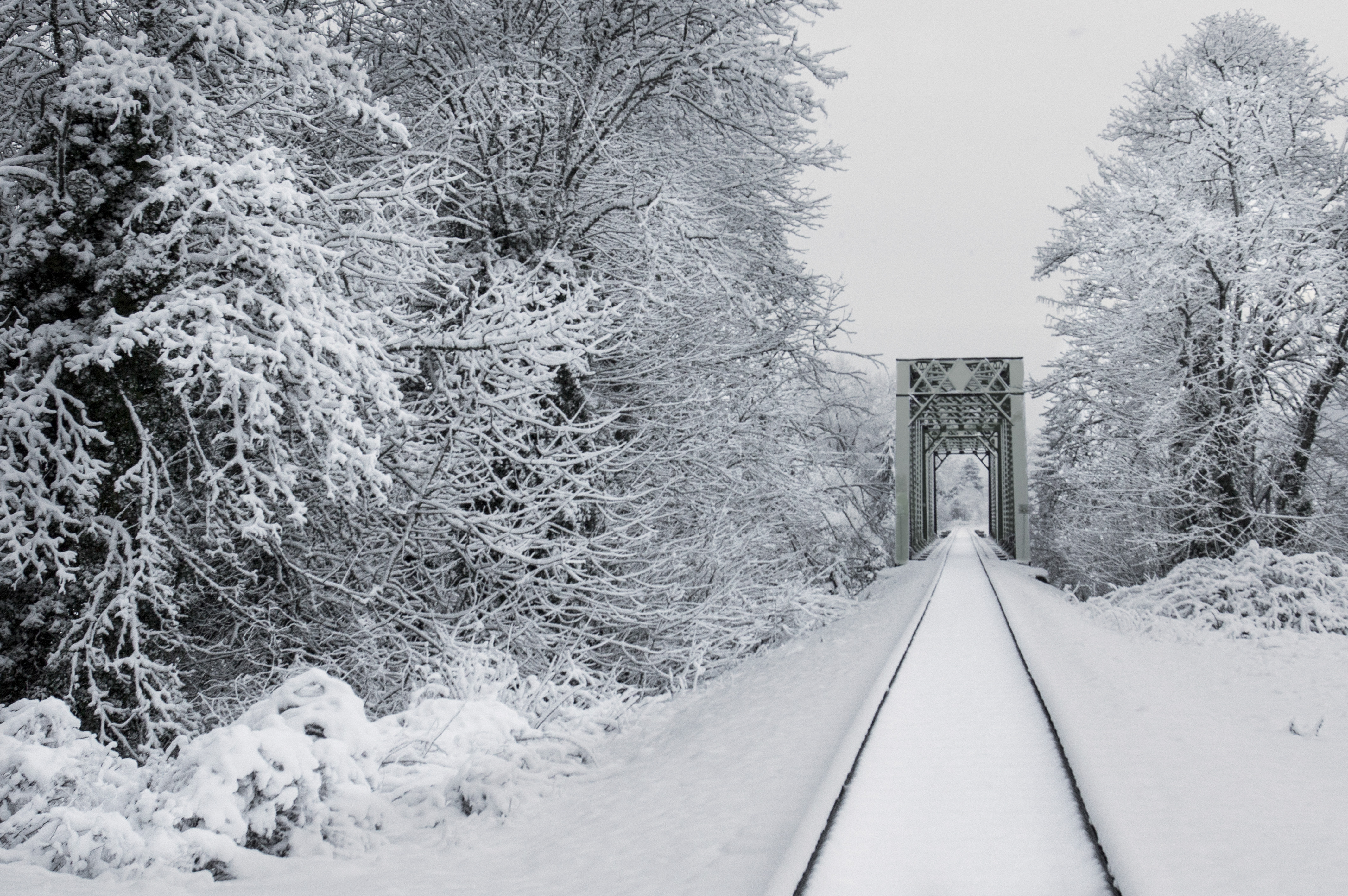 141041 Bildschirmschoner und Hintergrundbilder Eisenbahn auf Ihrem Telefon. Laden Sie schnee, bäume, brücke, winter Bilder kostenlos herunter