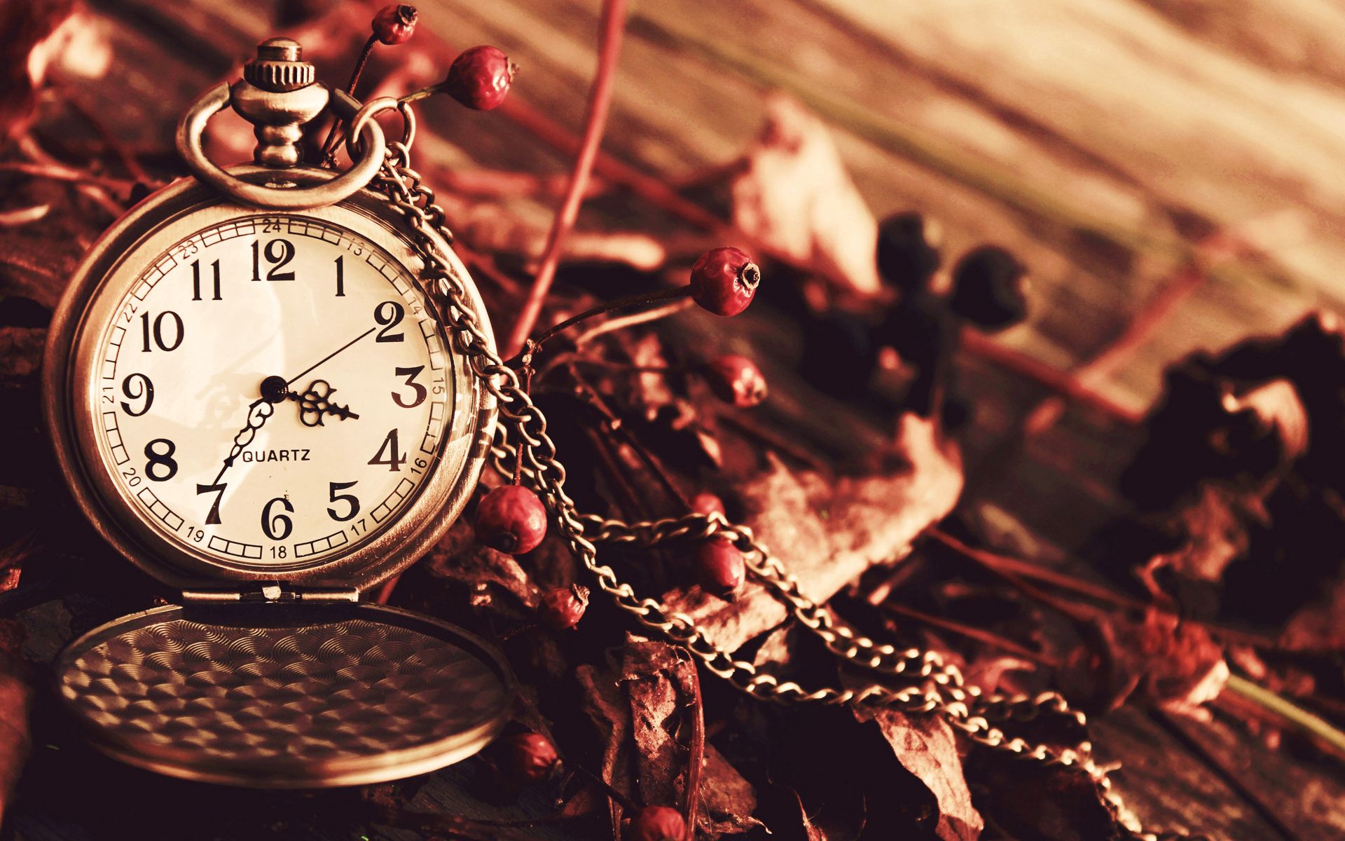 58951 Screensavers and Wallpapers Chain for phone. Download autumn, clock, berries, miscellanea, miscellaneous, dry, clock face, dial, pocket, chain pictures for free