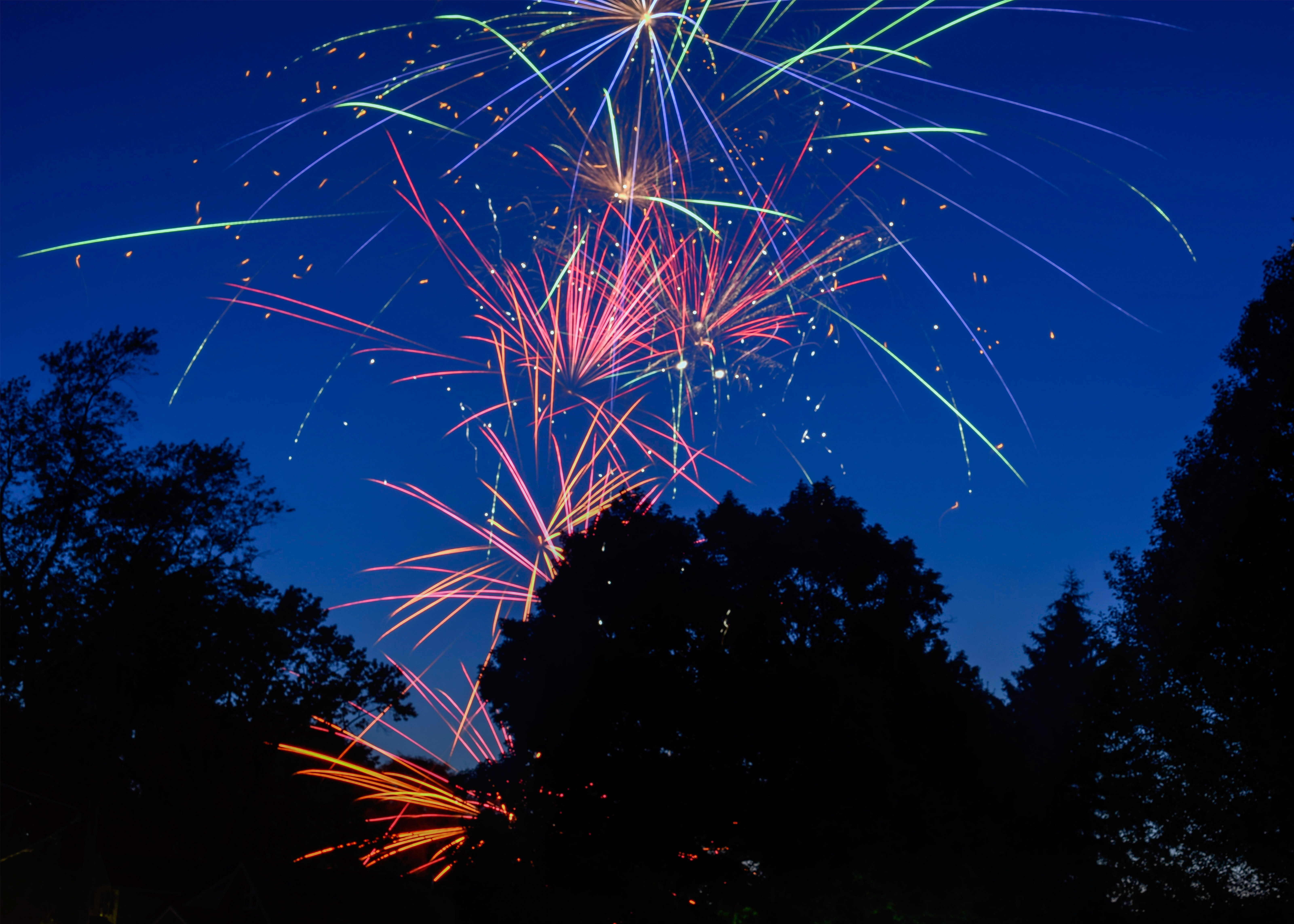 firework, holidays, trees, salute, sparks, holiday, fireworks 4K