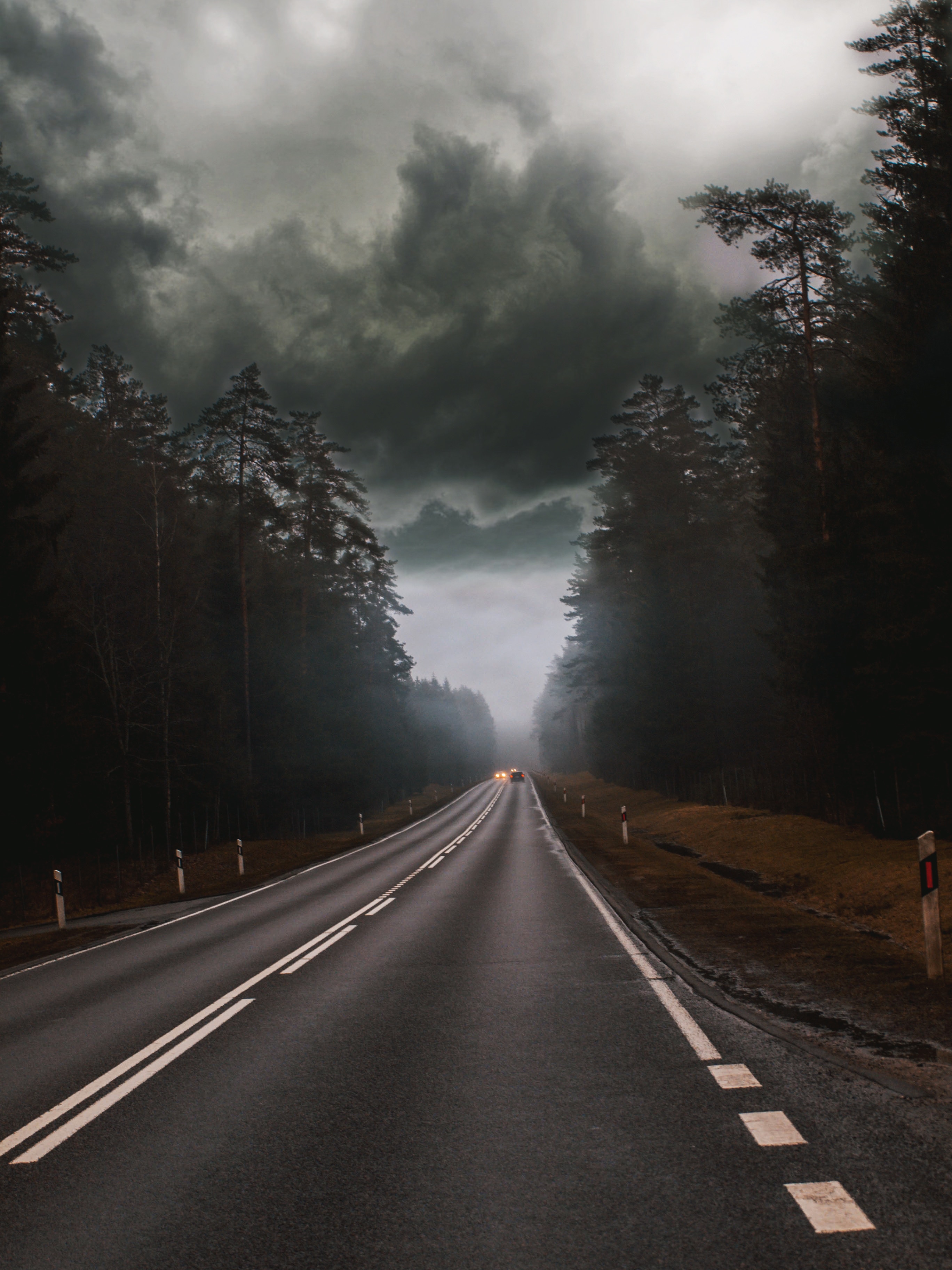 nature, trees, clouds, cars, road, fog, mainly cloudy, overcast Full HD