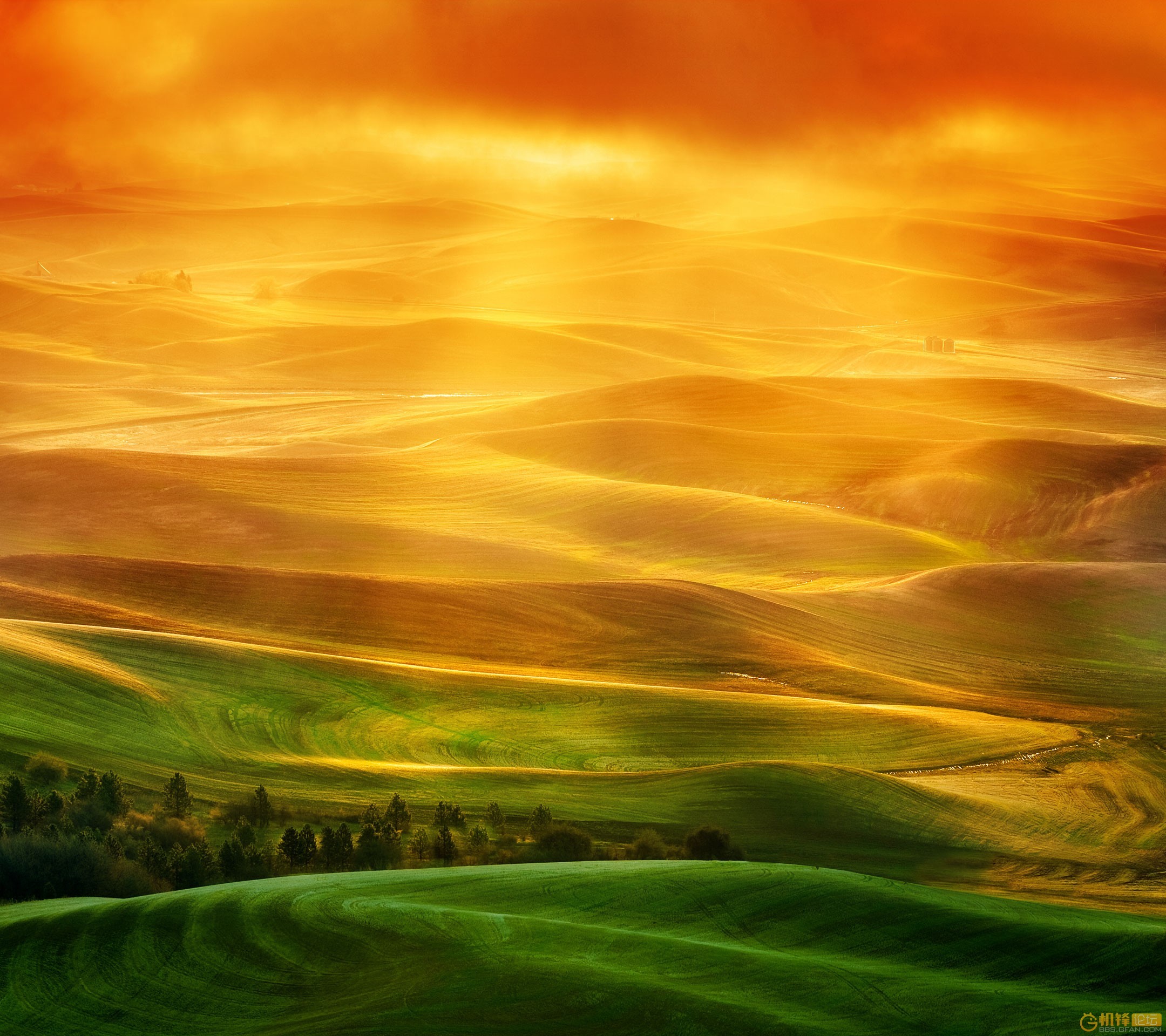 pictures, landscape, sunset, yellow download HD wallpaper