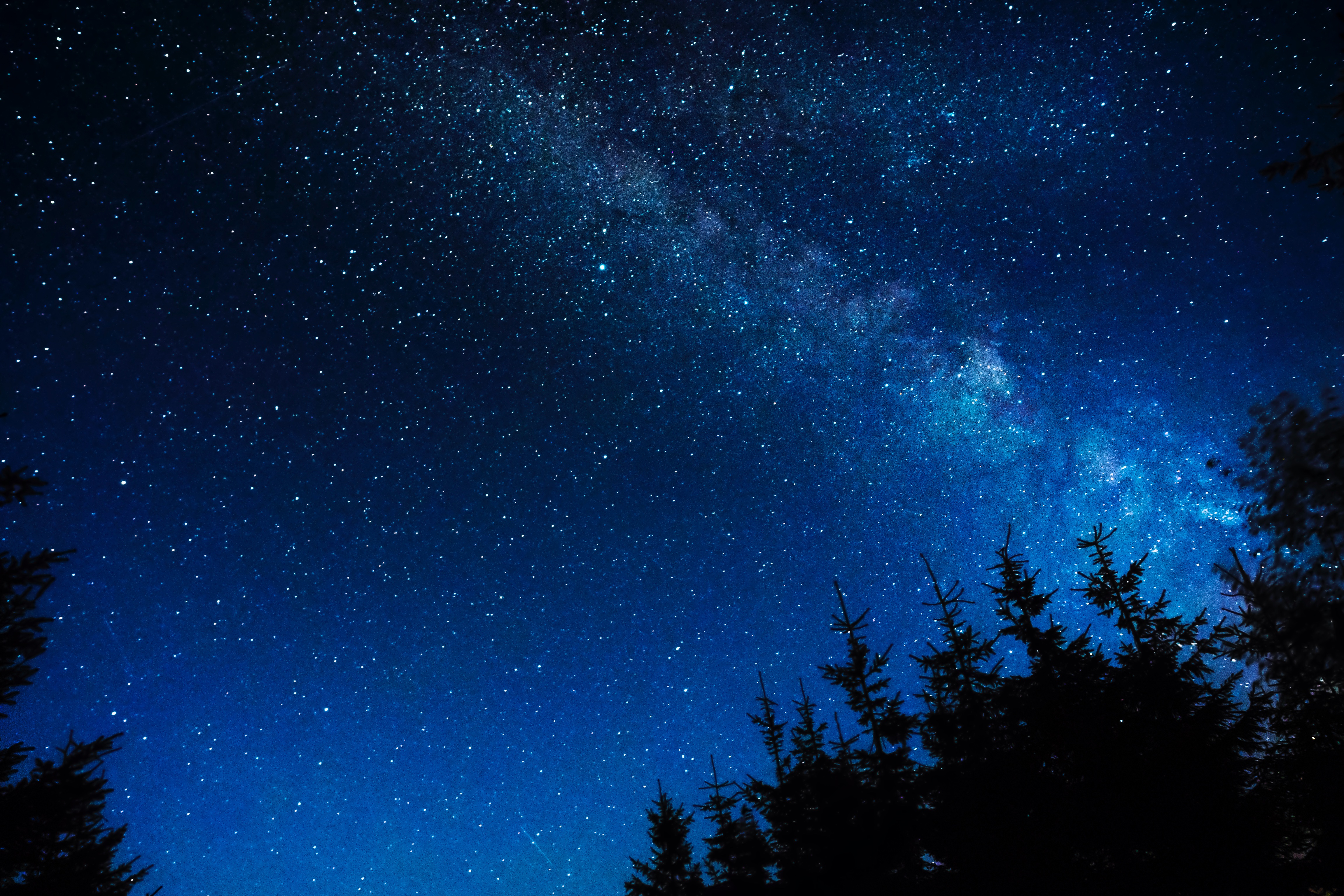 Download free mobile wallpaper Trees, Stars, Night, Dark, Shine, Starry Sky...