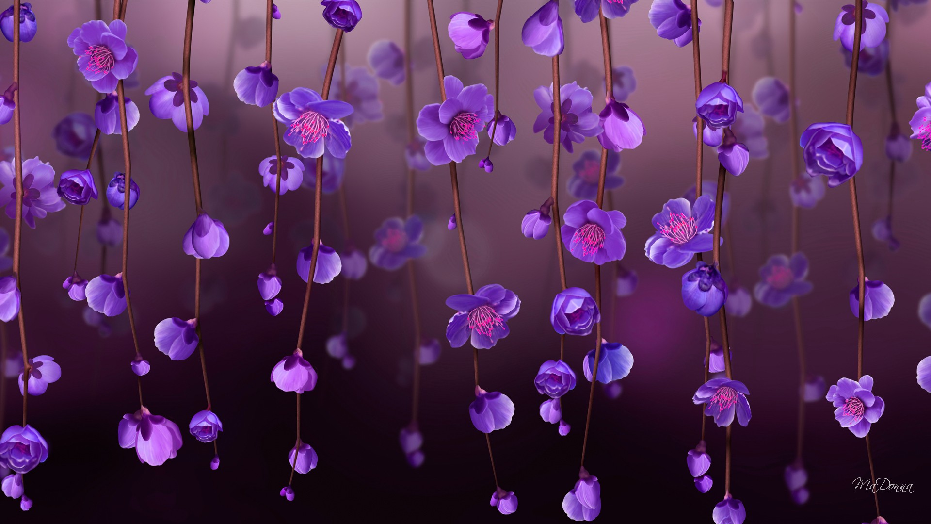 Mobile HD Wallpaper Purple Flower 