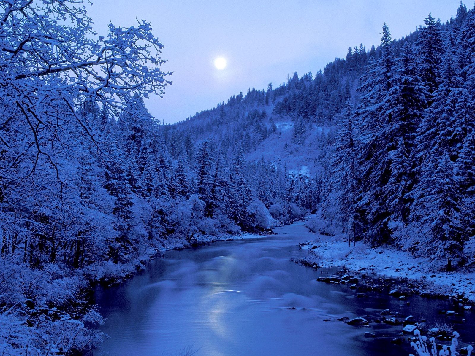 moon, winter, nature, rivers, trees, sky, shore, frost, hoarfrost, shores