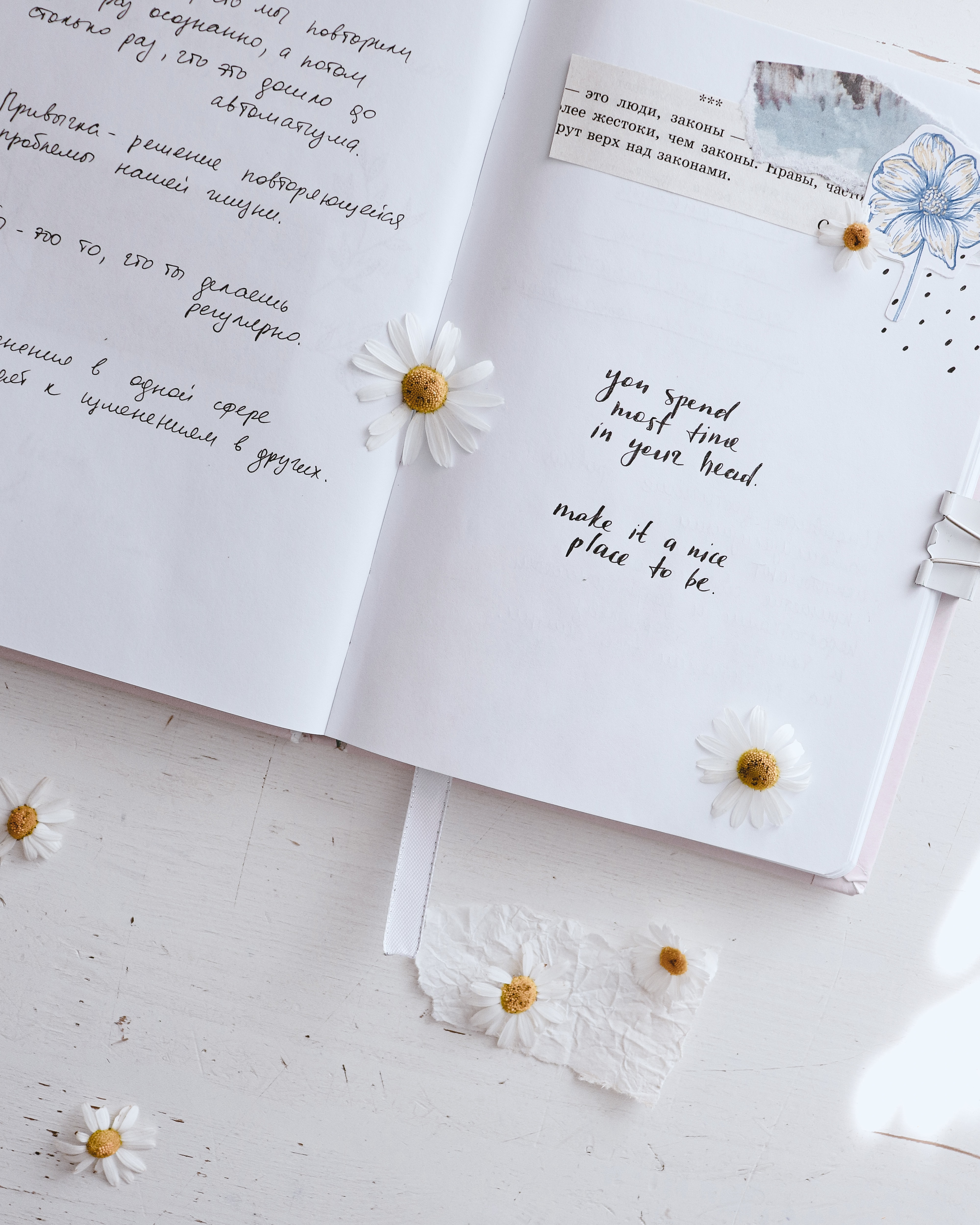 lettering, notepad, notebook, quotes, flowers, words, inscriptions, phrases 2160p
