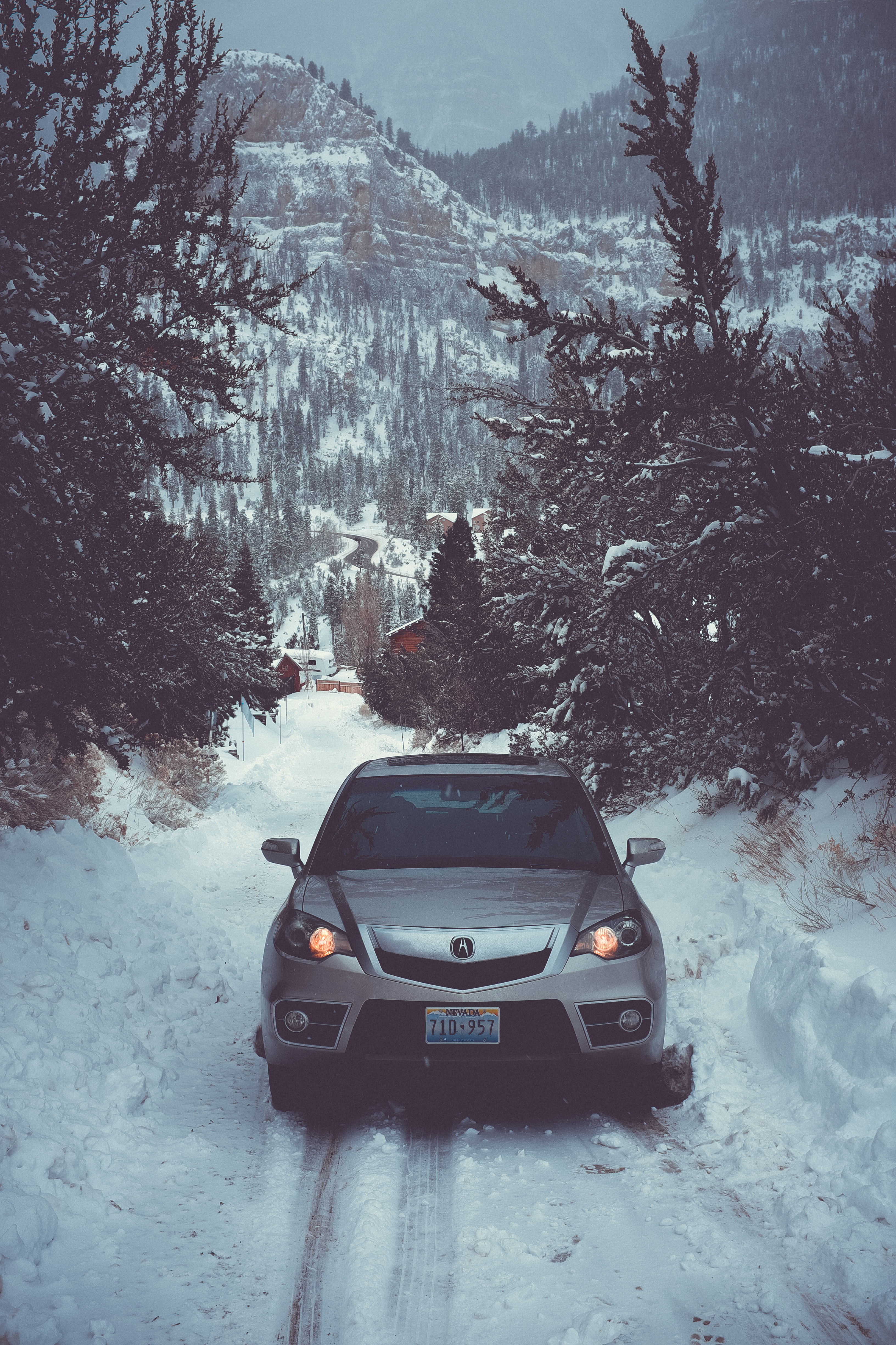 53785 Hintergrundbild herunterladen auto, winter, bäume, schnee, cars, vorderansicht, frontansicht - Bildschirmschoner und Bilder kostenlos