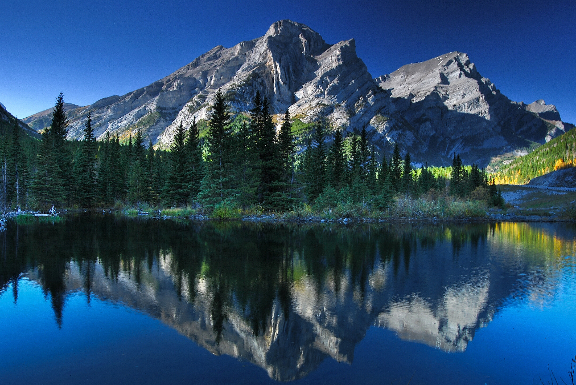 389897 скачать обои земля/природа, гора, альберта, канада, озеро, природа, отражение, дерево, горы - заставки и картинки бесплатно