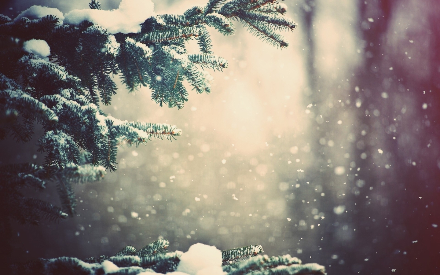 android winter, fir-trees, landscape, plants, snow, yellow