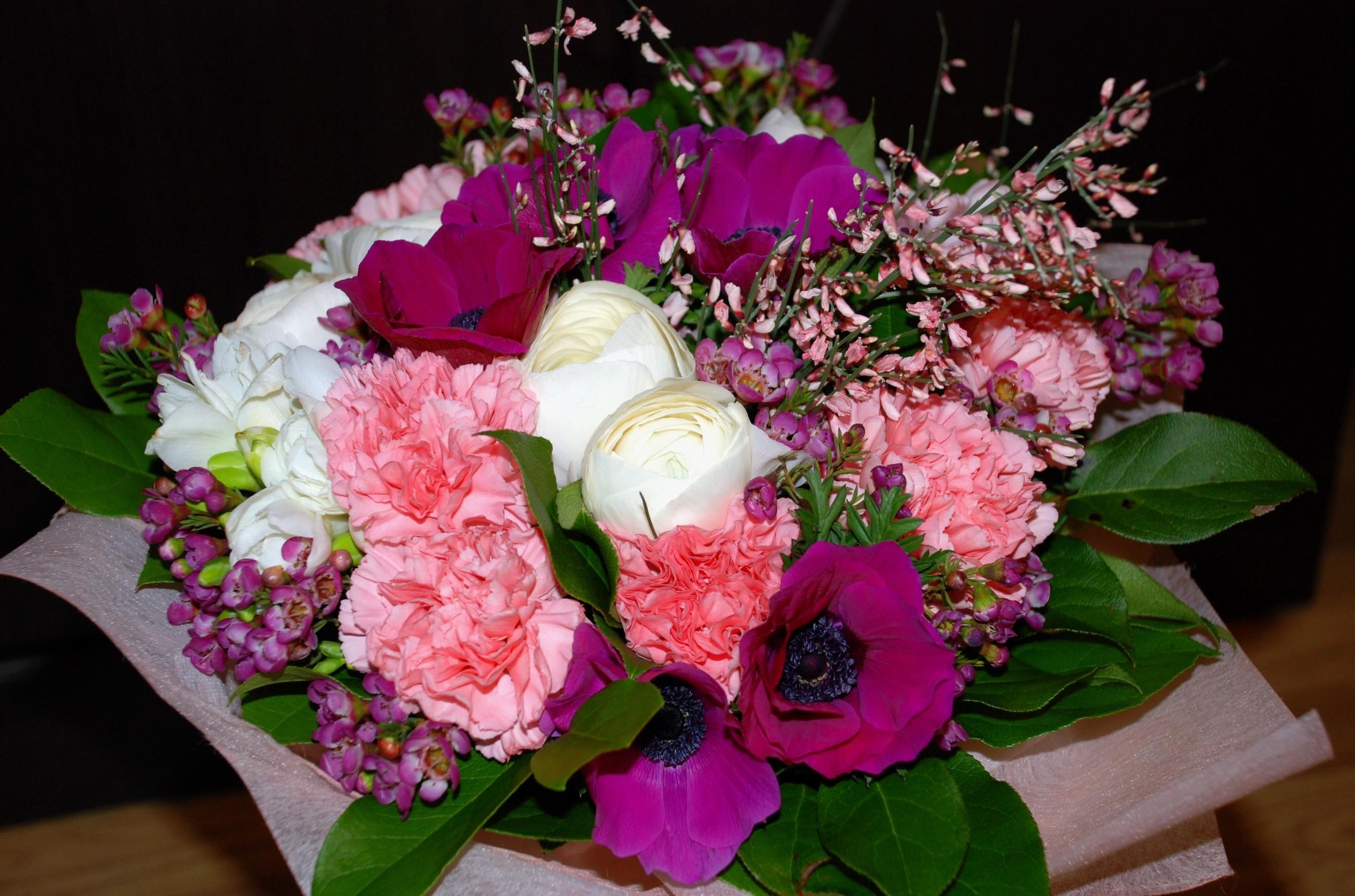 Widescreen image flowers, carnations, anemones, leaves