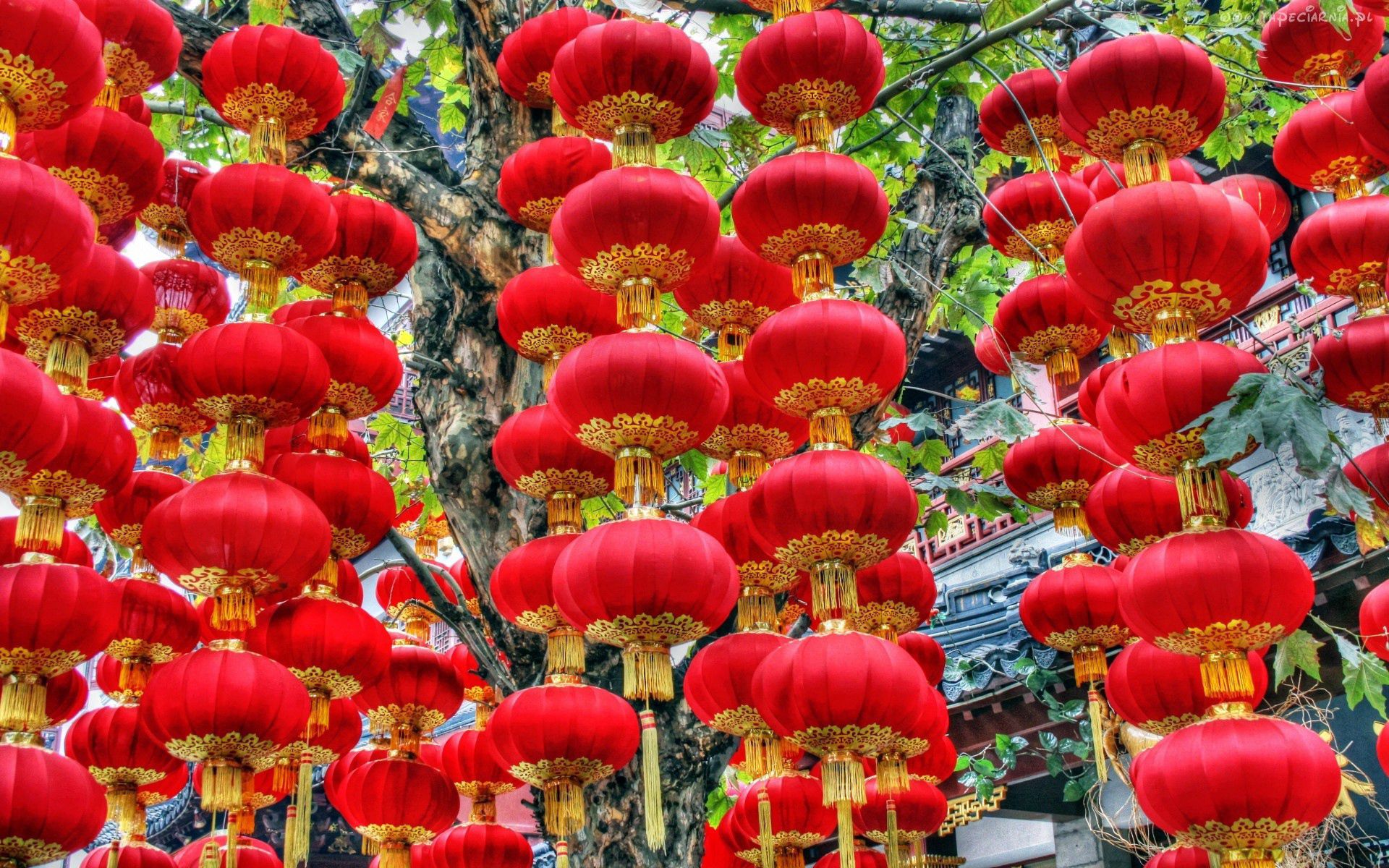 holidays, new year, registration, typography, decoration, new year chinese lanterns, new year's chinese lanterns 8K