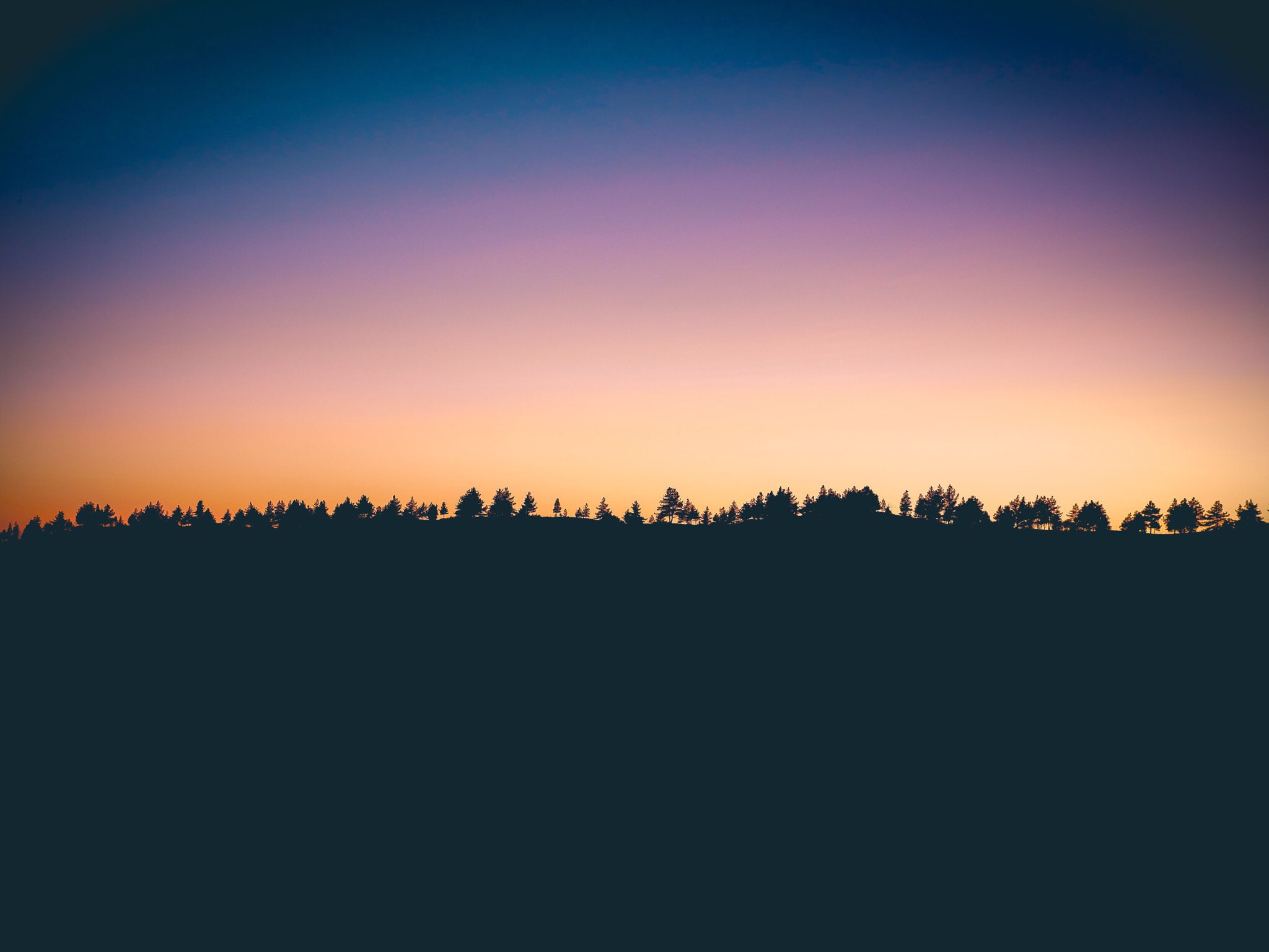Free HD sunset, trees, horizon Nature