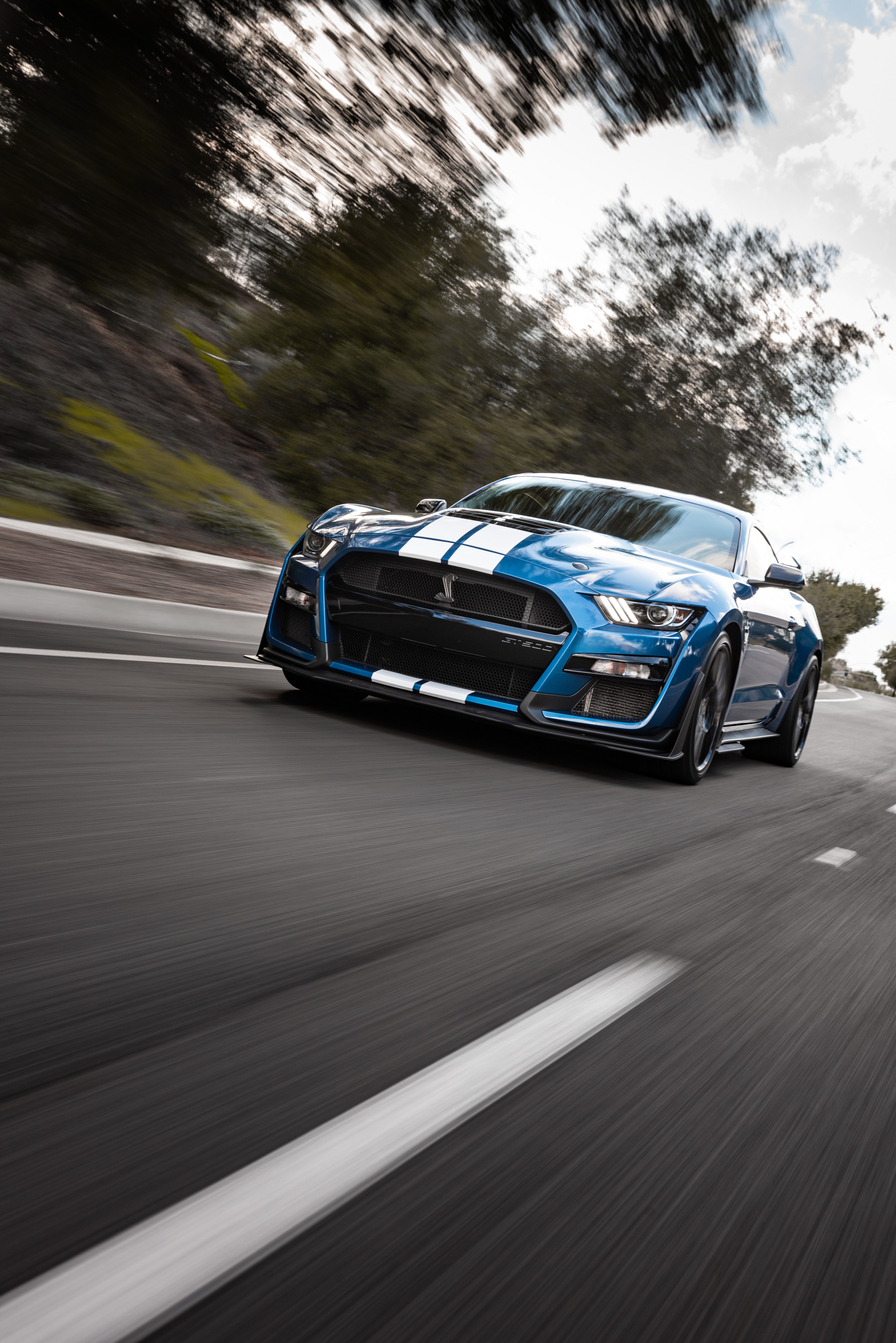 8k Shelby Images