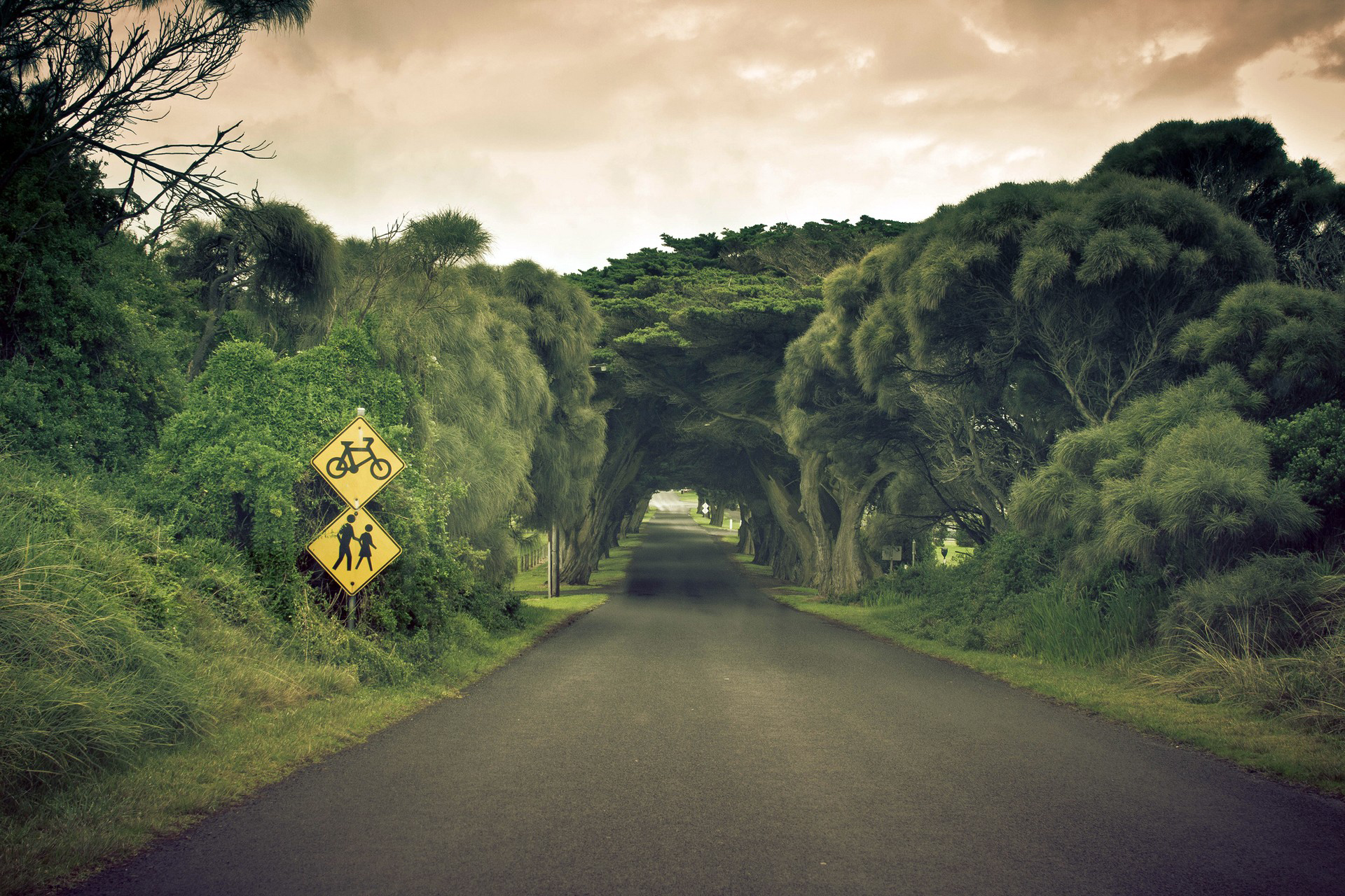 sign, man made, road, australia, cloud, tree, tunnel