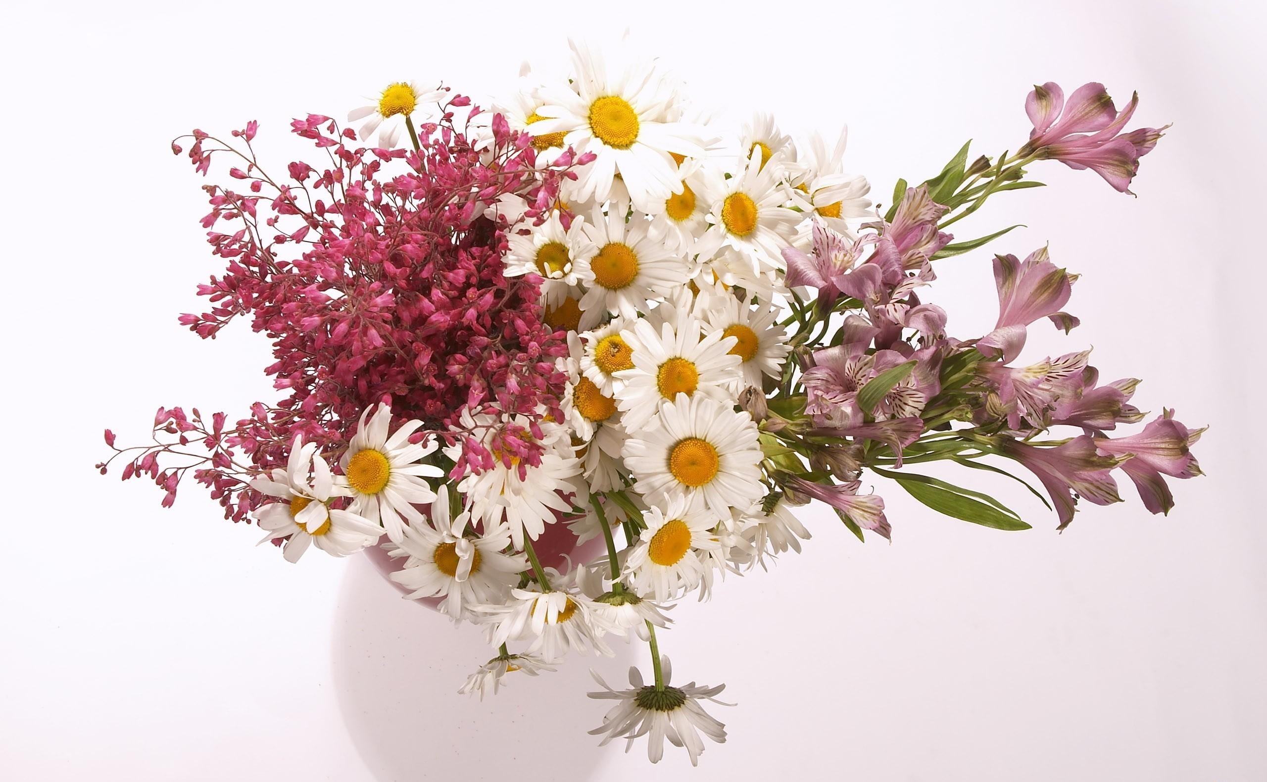 flowers, camomile, alstroemeria, bouquet, vase, composition Full HD
