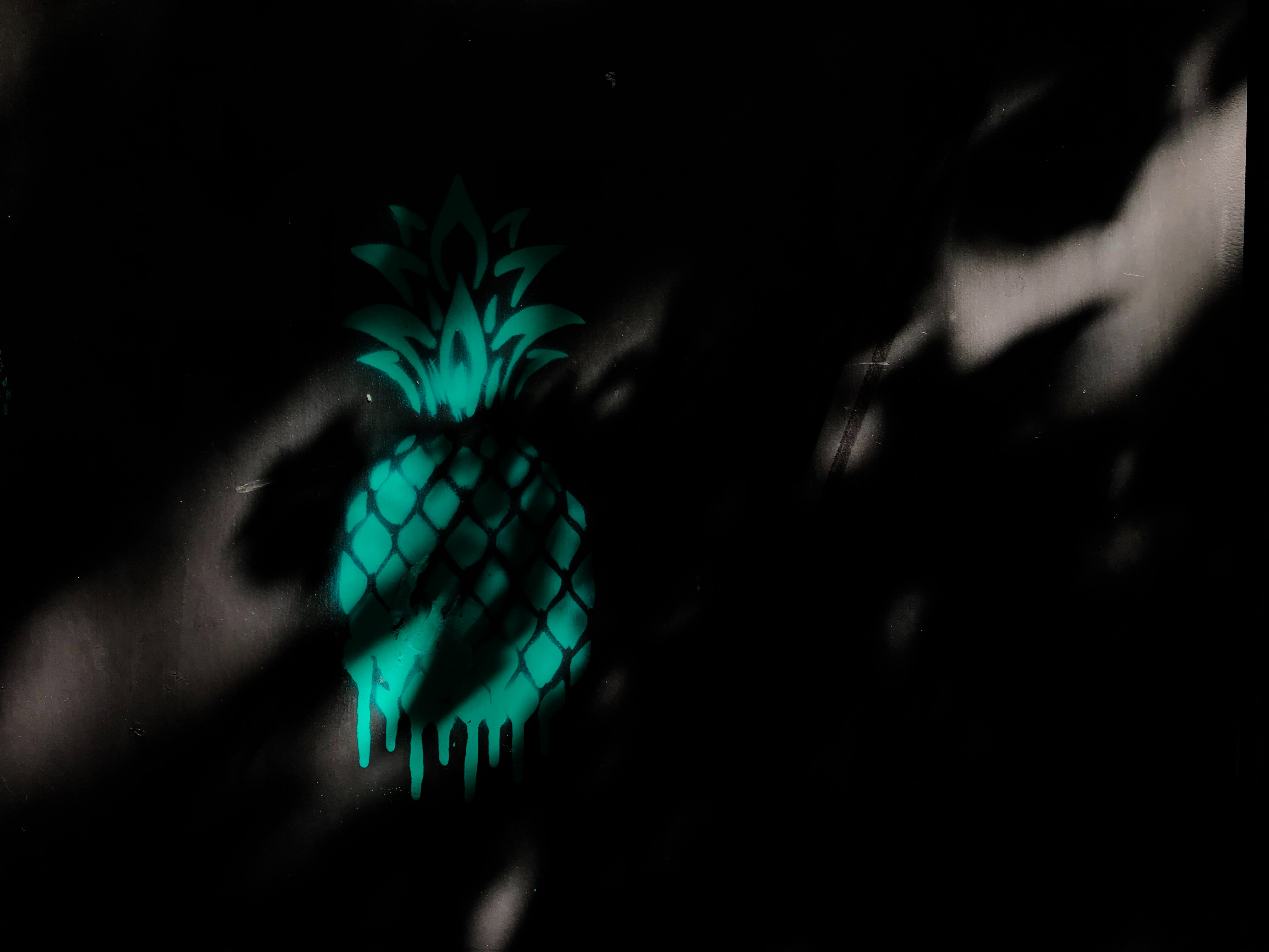 155122 Bildschirmschoner und Hintergrundbilder Eine Ananas auf Ihrem Telefon. Laden Sie dunkel, wand, ananas, schatten Bilder kostenlos herunter