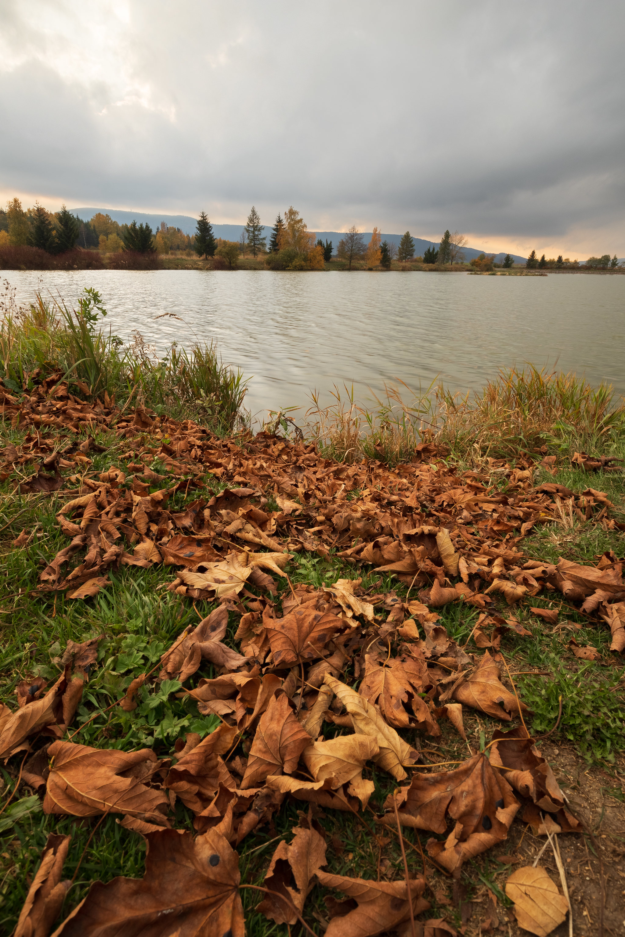lake, nature, trees, autumn, leaves HD wallpaper