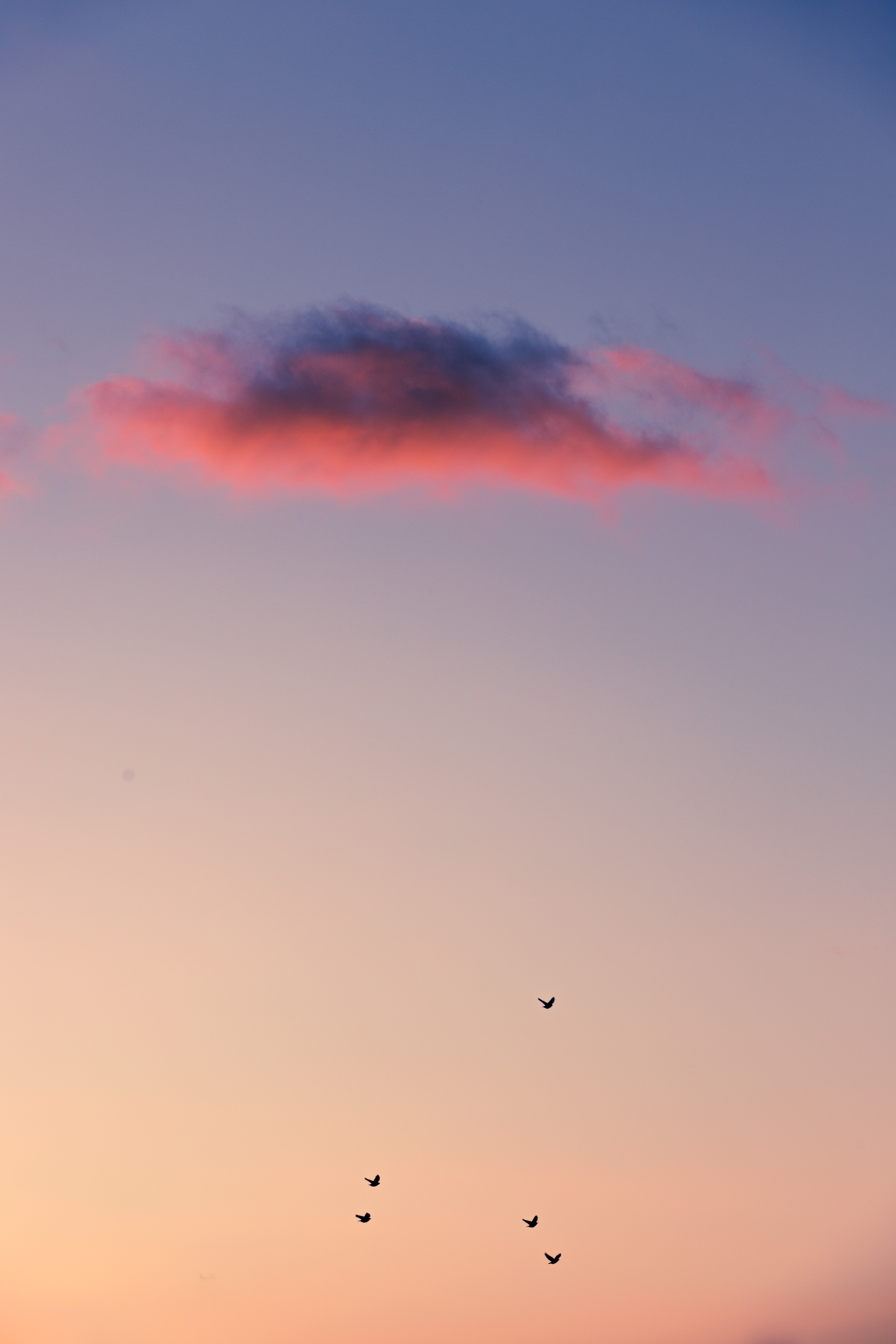 143424 Hintergrundbilder und Wolke Bilder auf dem Desktop. Laden Sie cloud, sunset, vögel, sky Bildschirmschoner kostenlos auf den PC herunter