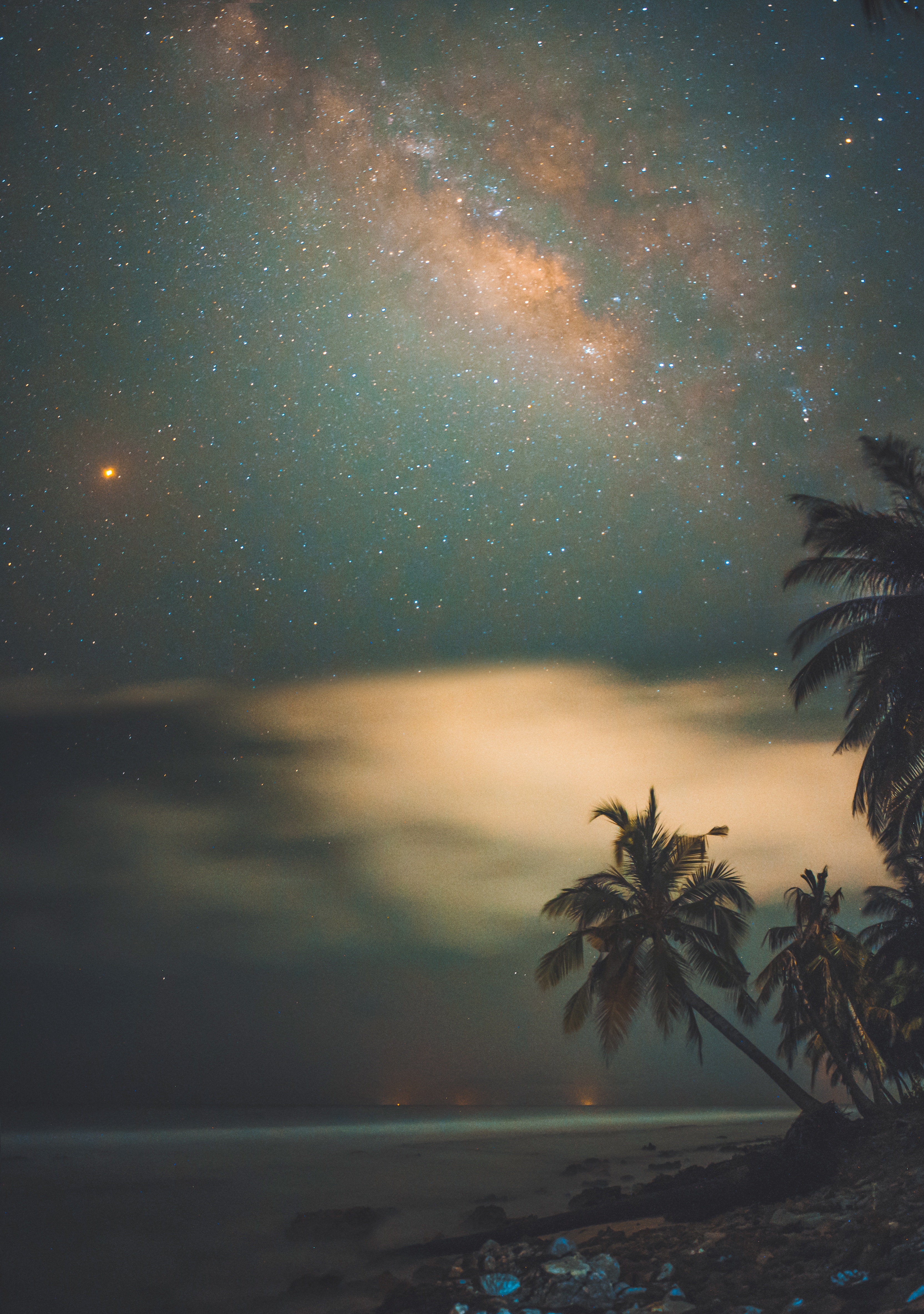 night, nature, palms, shore, bank, starry sky, tropics