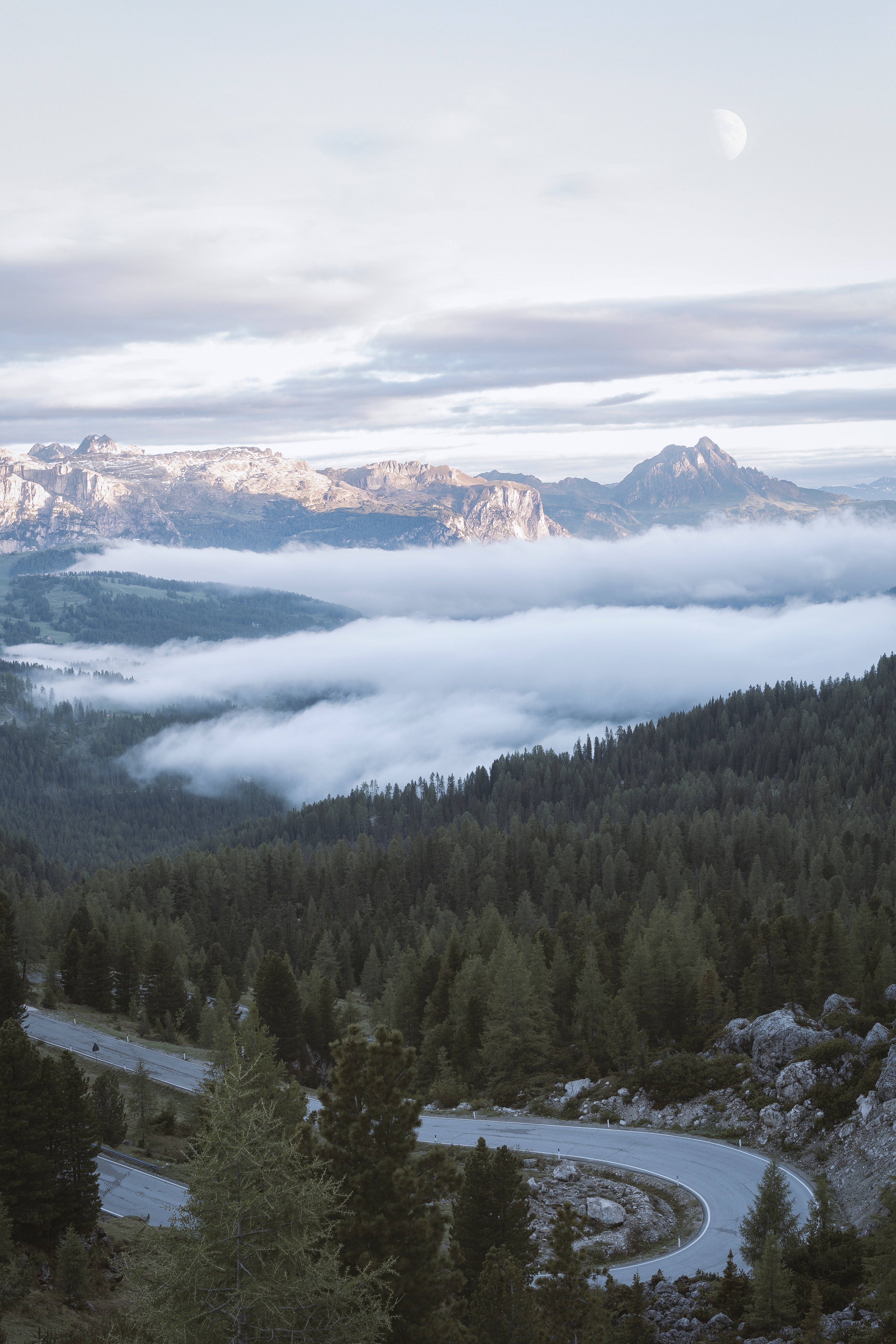 お使いの携帯電話の134398スクリーンセーバーと壁紙風景。 霧, 森林, 雲, 自然の写真を無料でダウンロード
