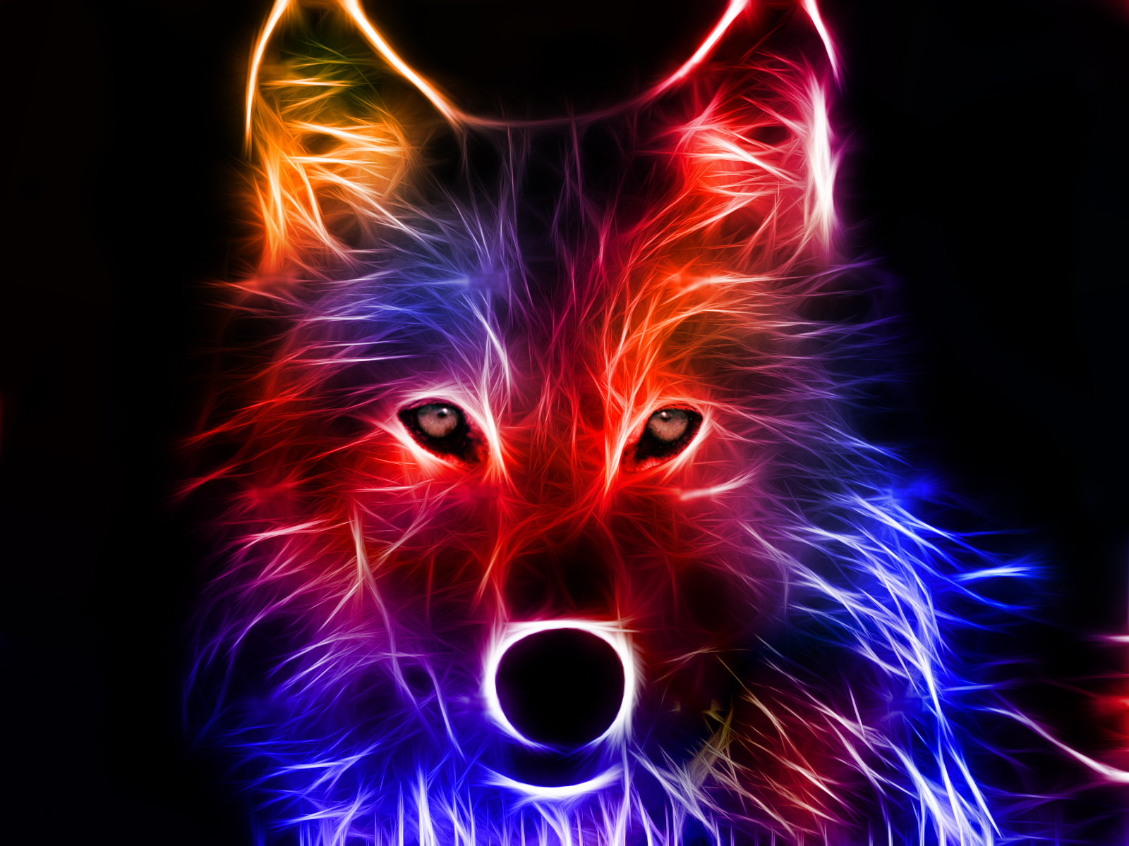 wolf, wolves, fractal, animal, colorful